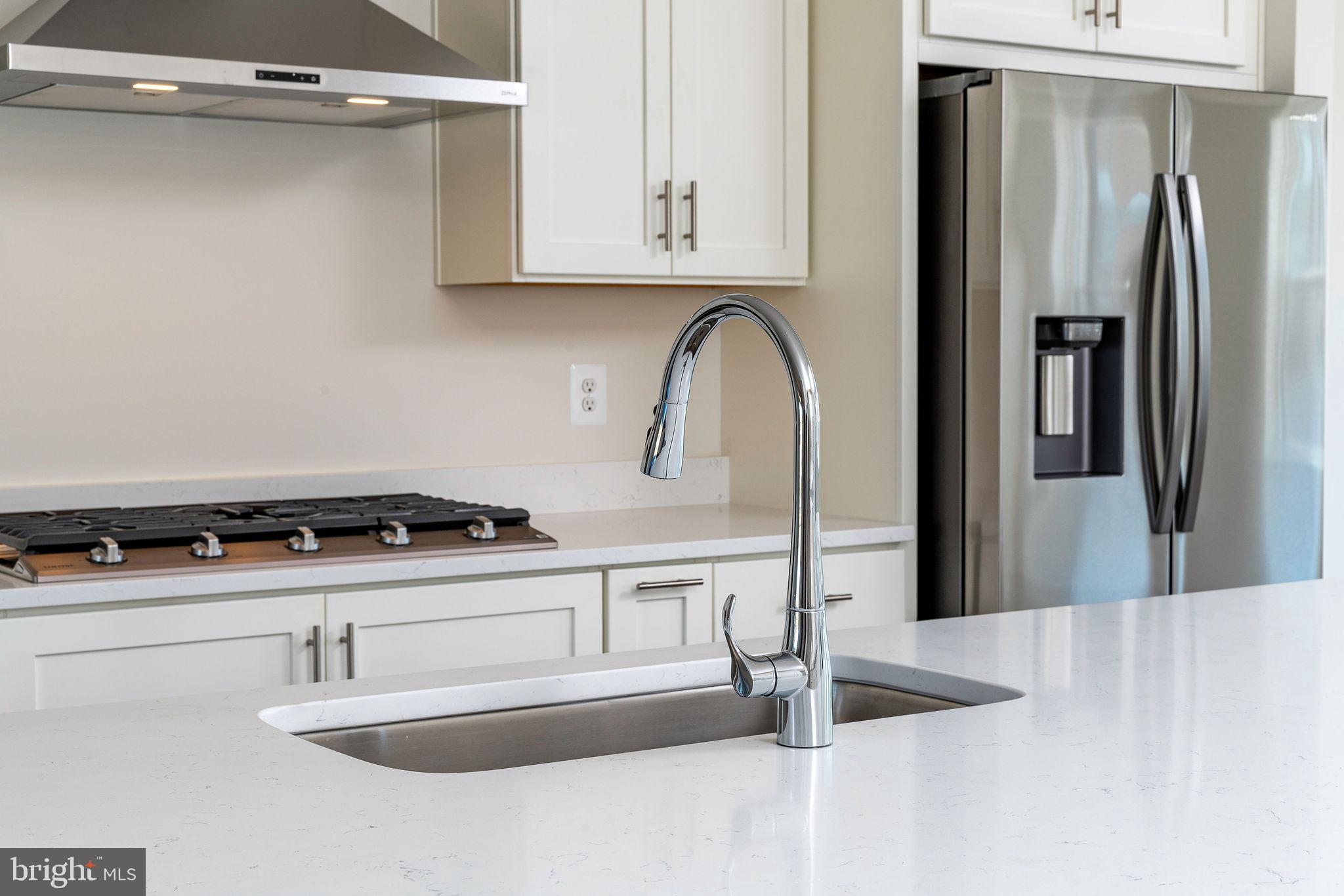 BIRCHWOOD AT BRAMBLETON - Residential