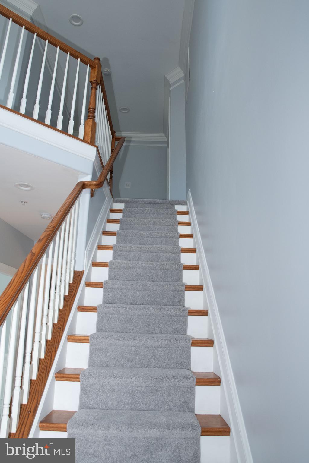 MARLBORO CROSSING - Residential