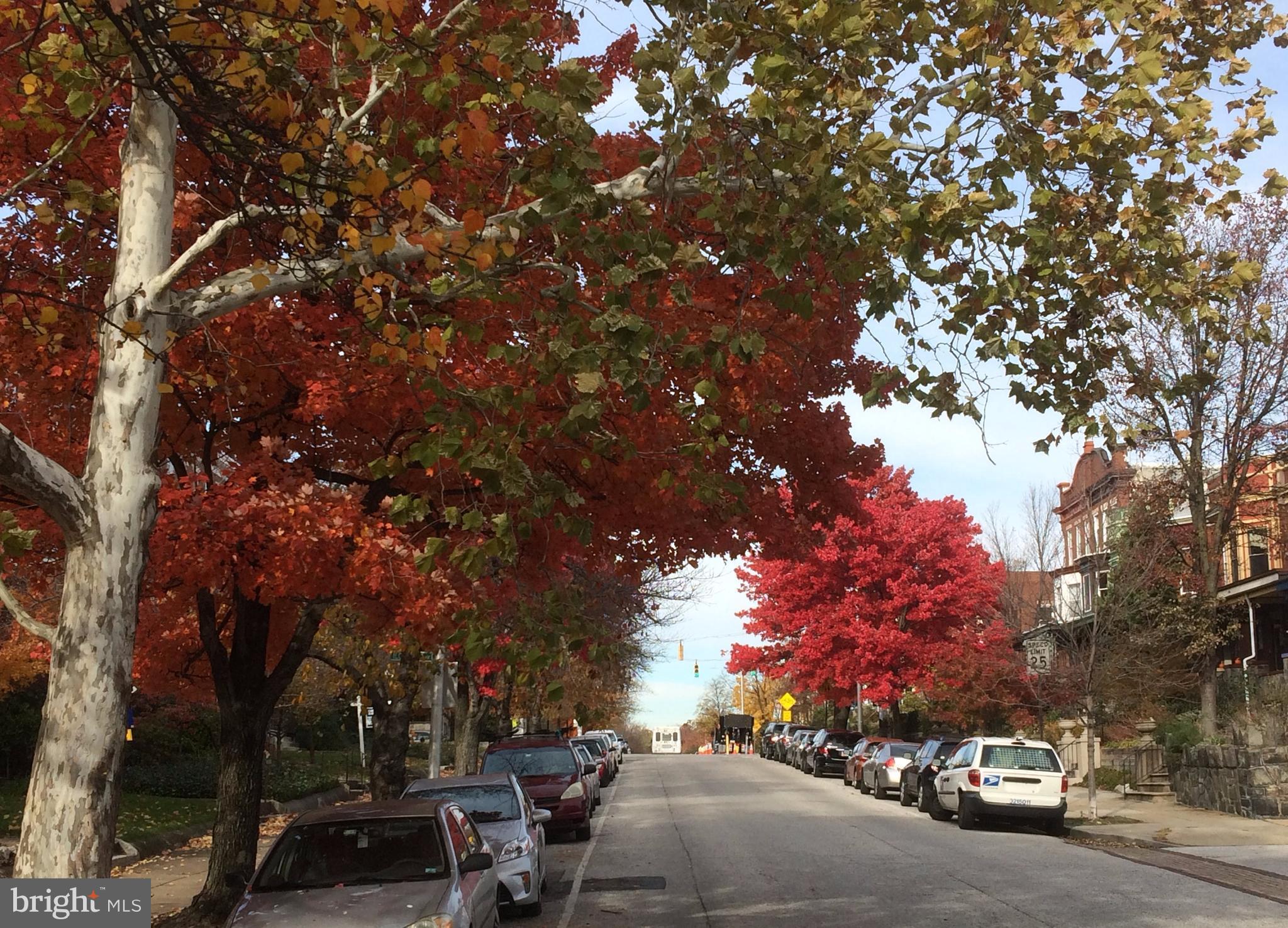 CHARLES VILLAGE - Residential Income