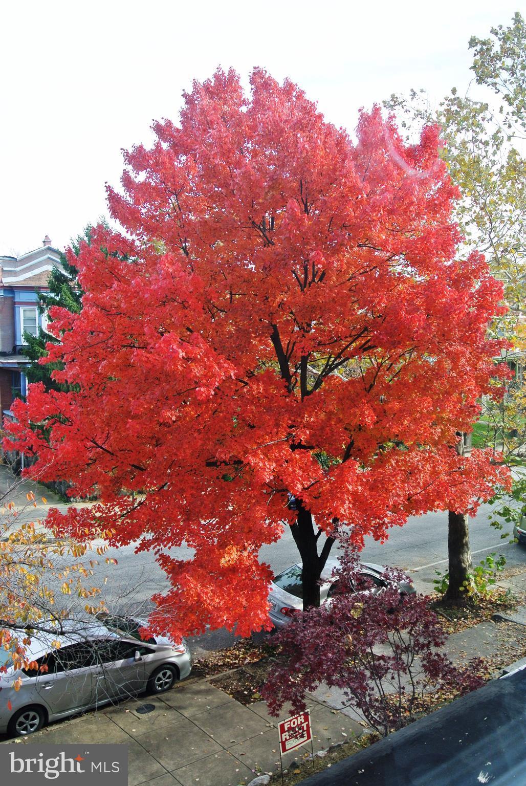 CHARLES VILLAGE - Residential Income