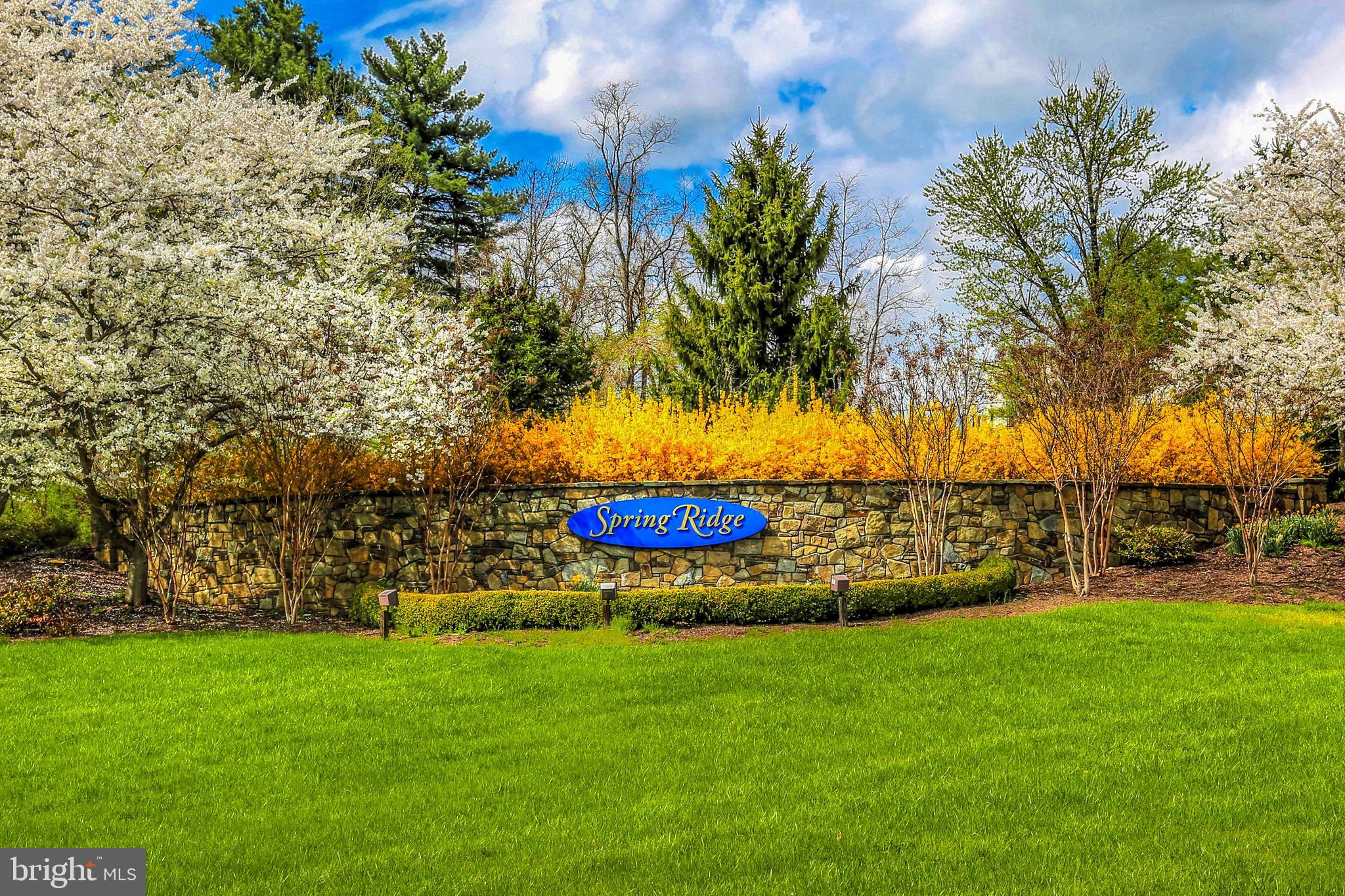 SPRING RIDGE - Residential