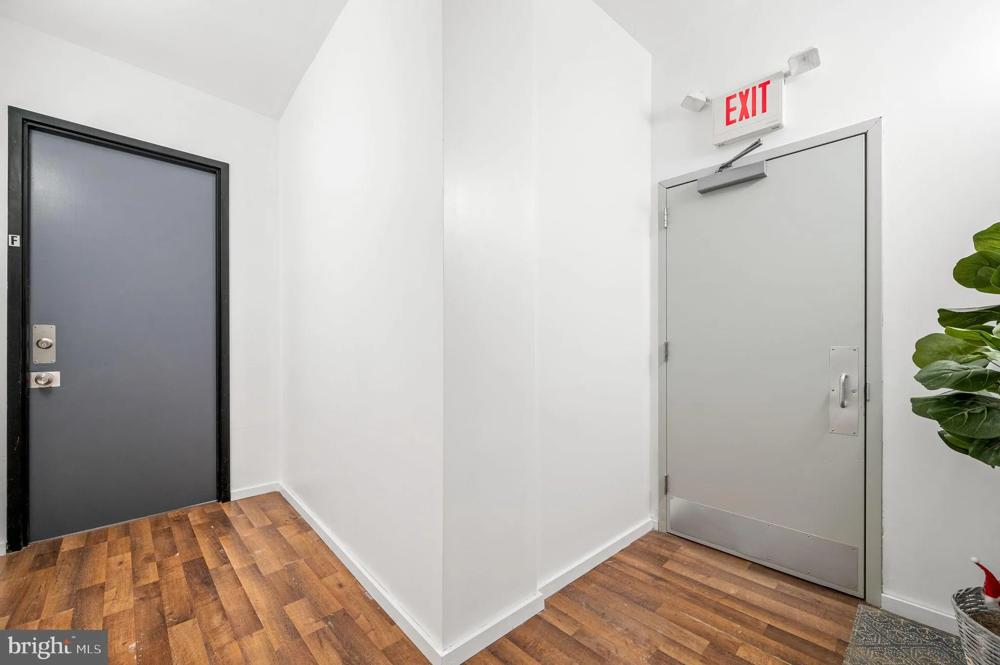 Philadelphia, Pennsylvania 19147, United States, 10 Bedrooms Bedrooms, ,Residential,Active,51197
