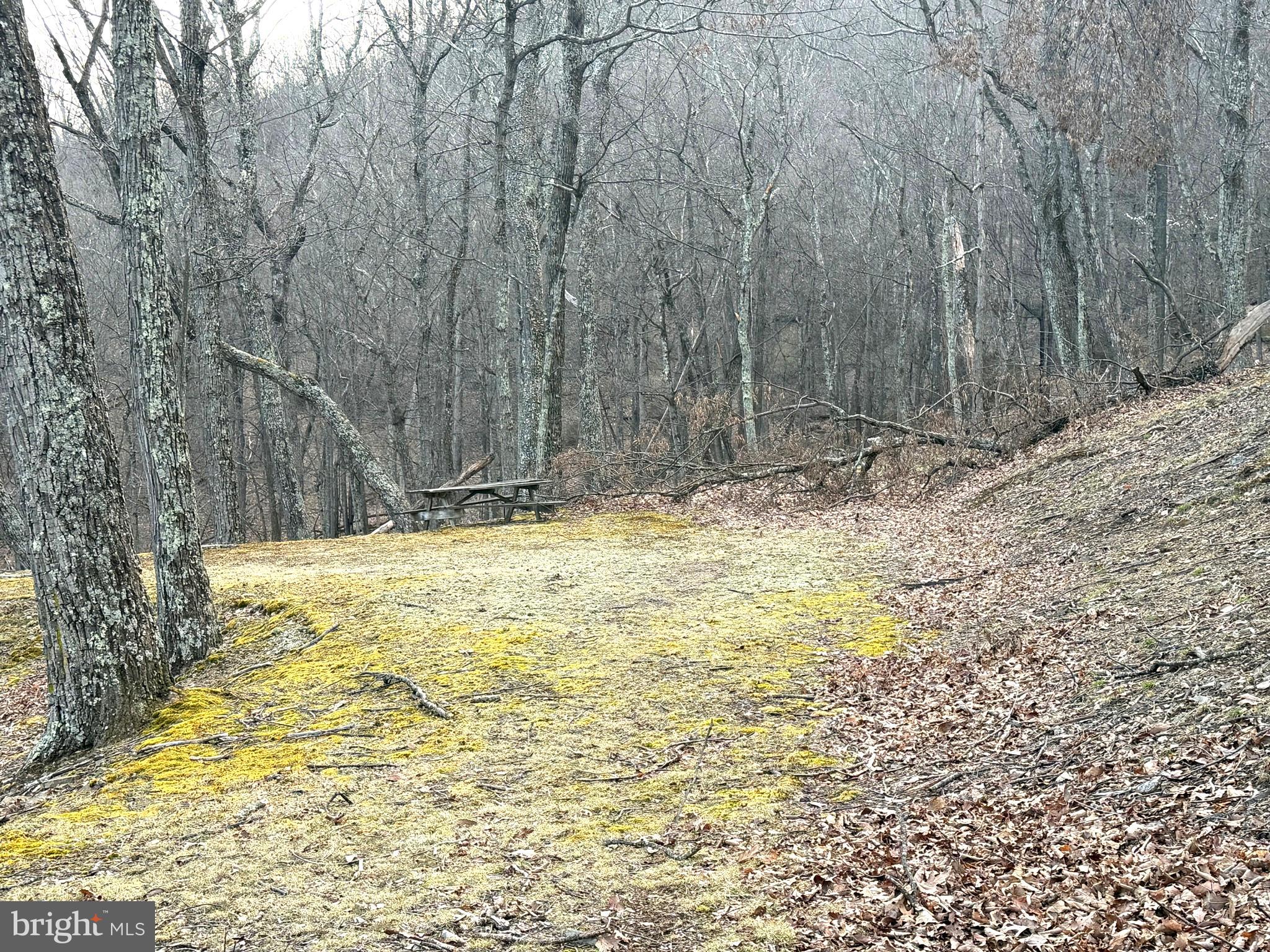 THE PRESERVE AT NEW CREEK LAKE - Land