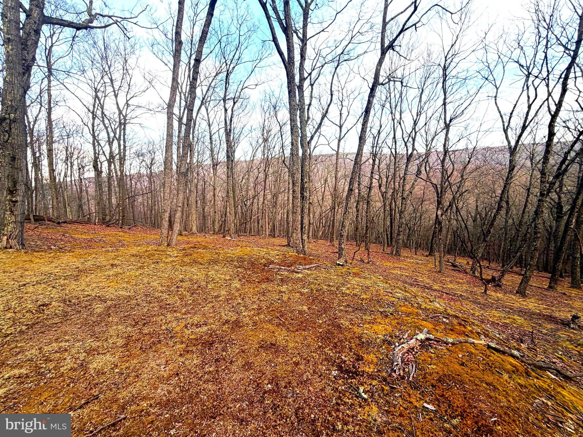 THE PRESERVE AT NEW CREEK LAKE - Land