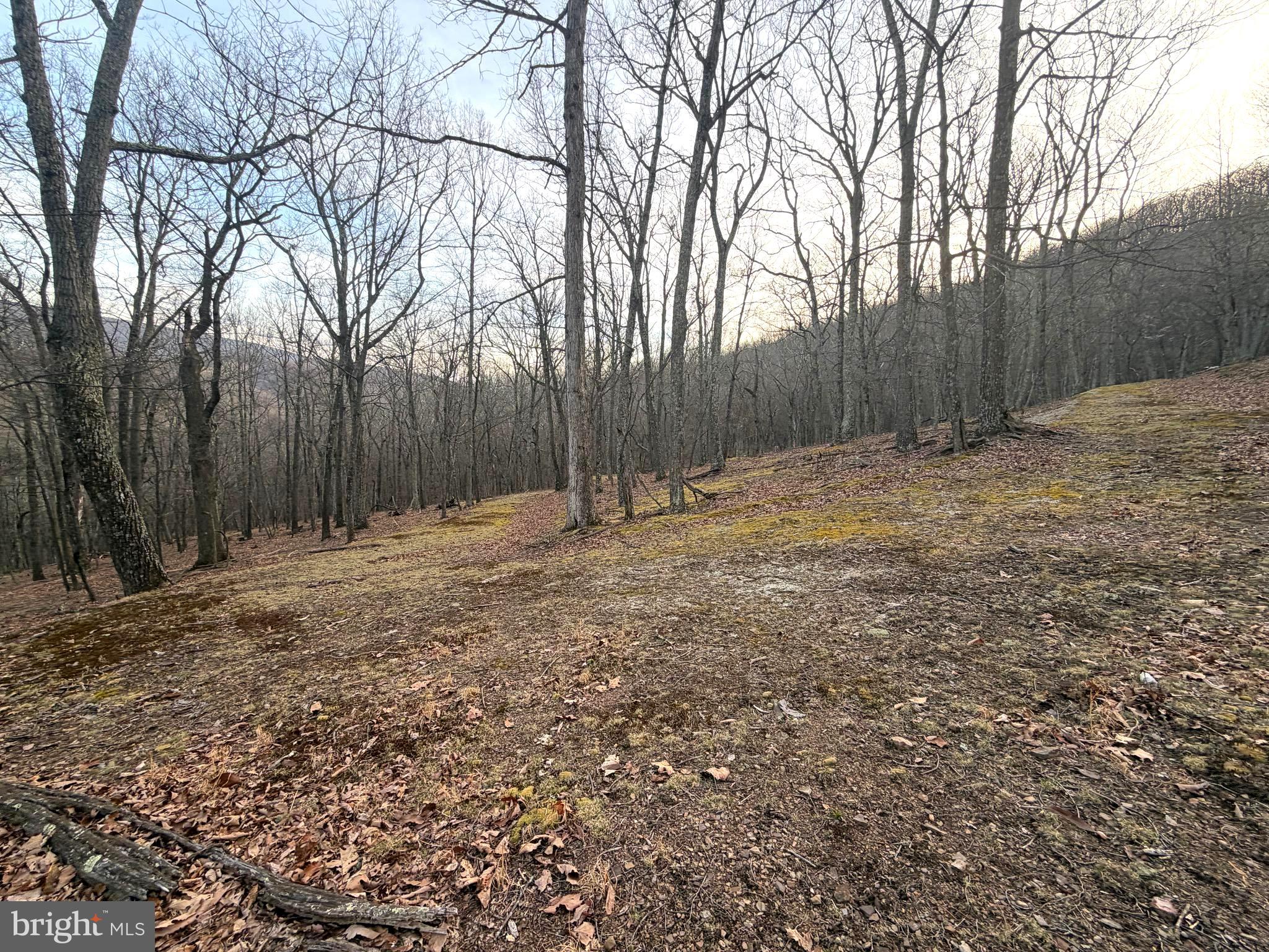 THE PRESERVE AT NEW CREEK LAKE - Land