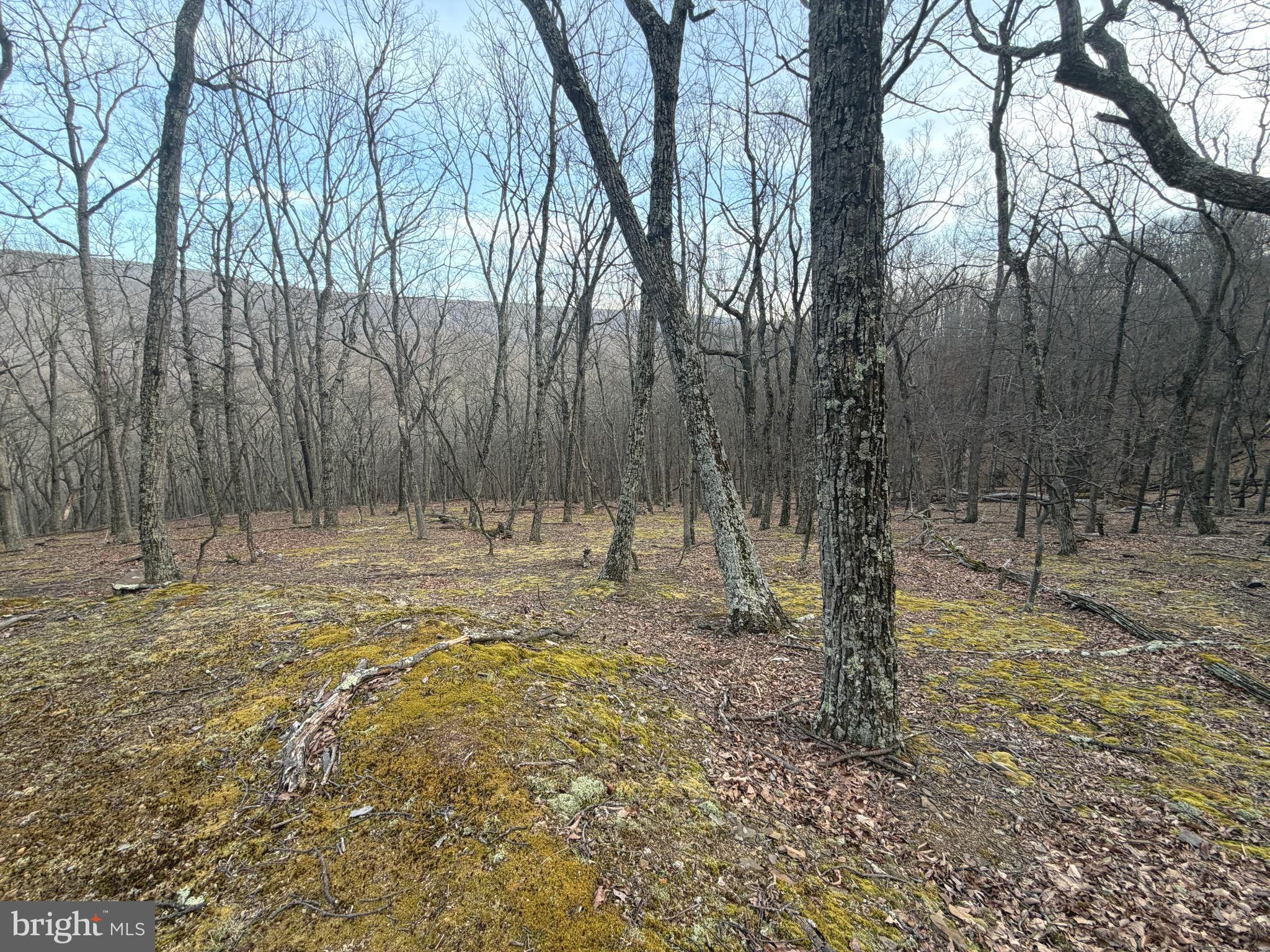 THE PRESERVE AT NEW CREEK LAKE - Land