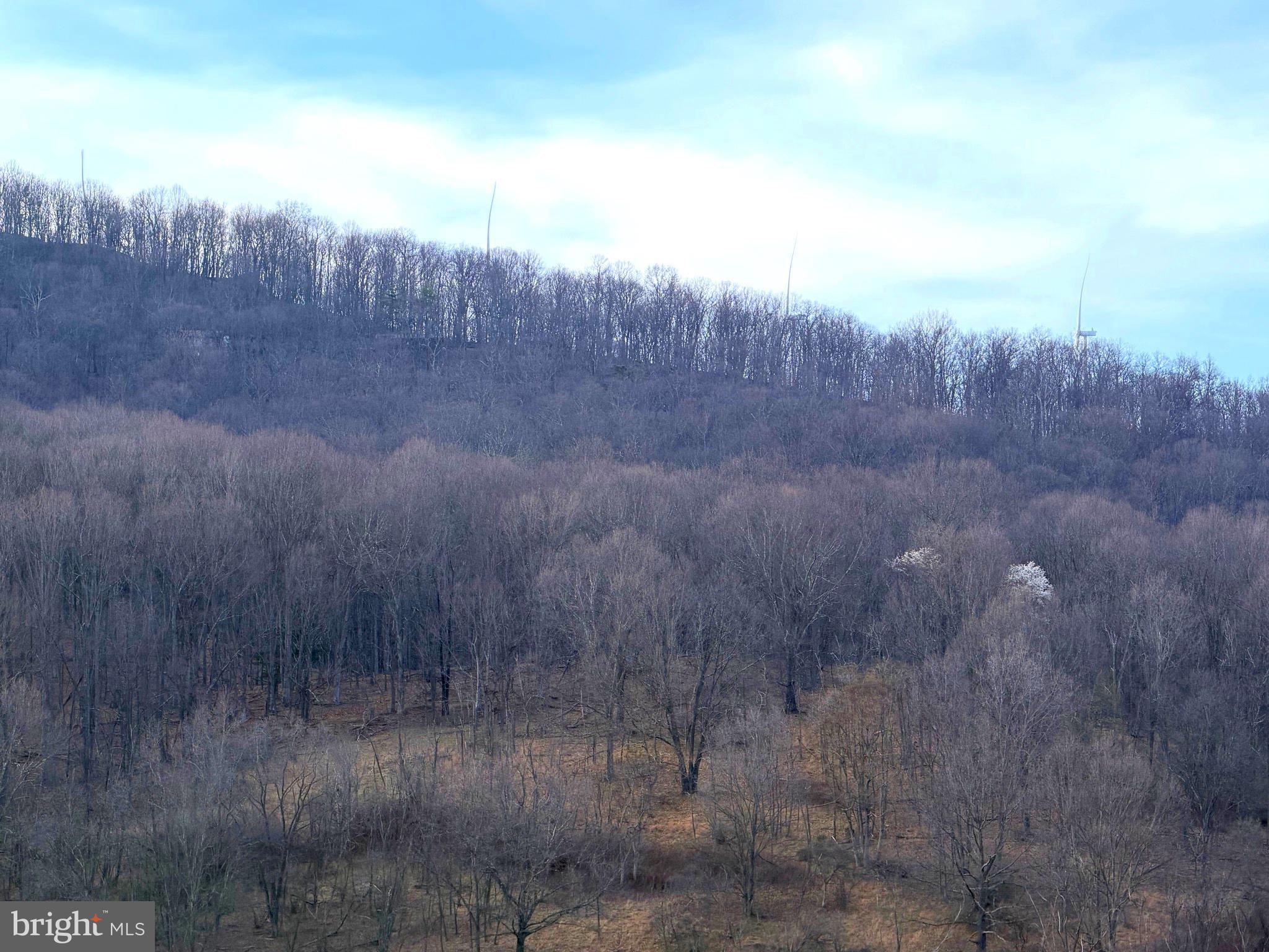 THE PRESERVE AT NEW CREEK LAKE - Land