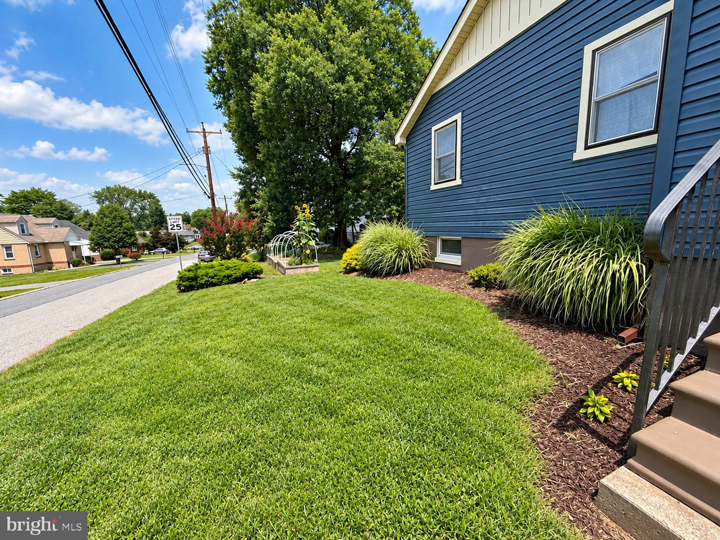 1000 ROSEDALE