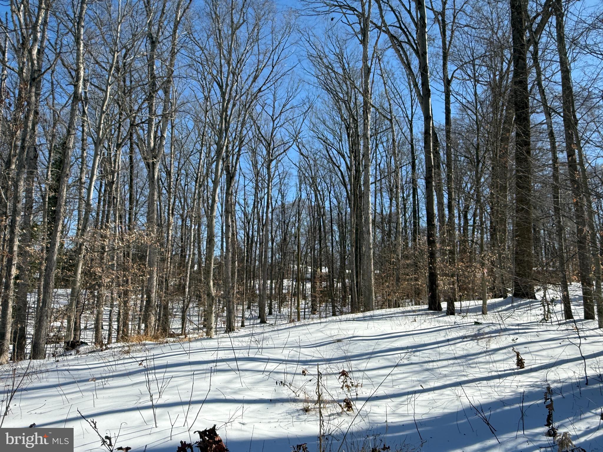 11713 SMITHFIELD ROAD