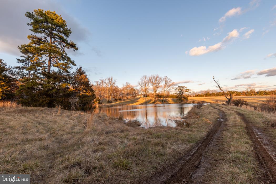 GREEN SPRINGS - Farm