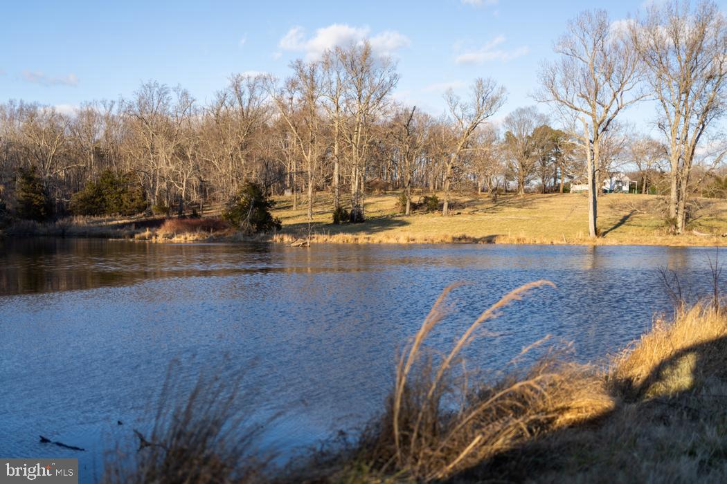 GREEN SPRINGS - Farm