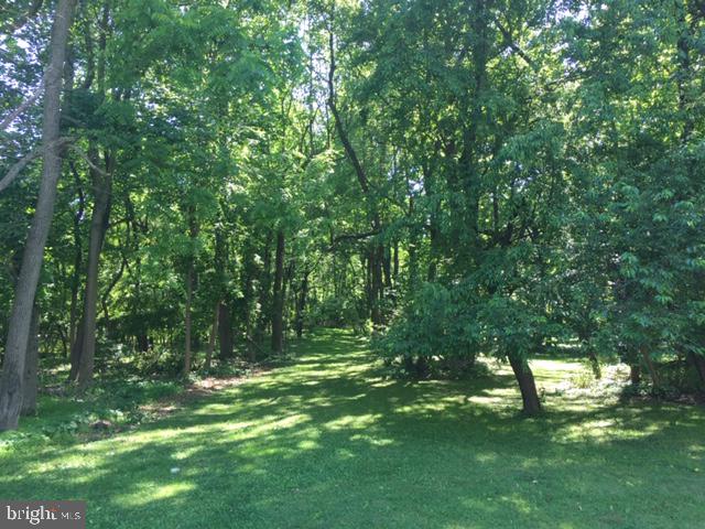 RADNOR HUNT - Residential