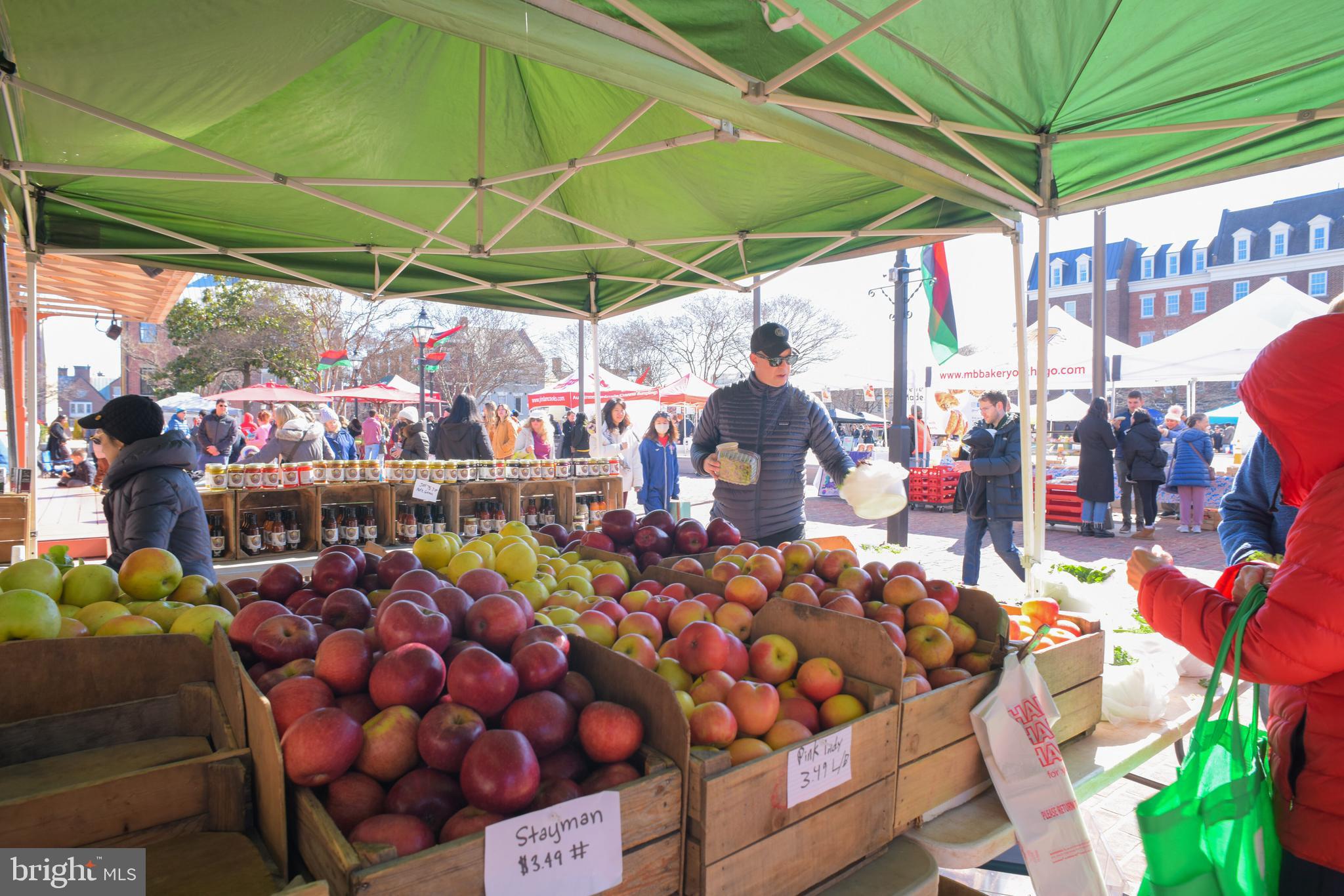 OLD TOWN ALEXANDRIA - Residential