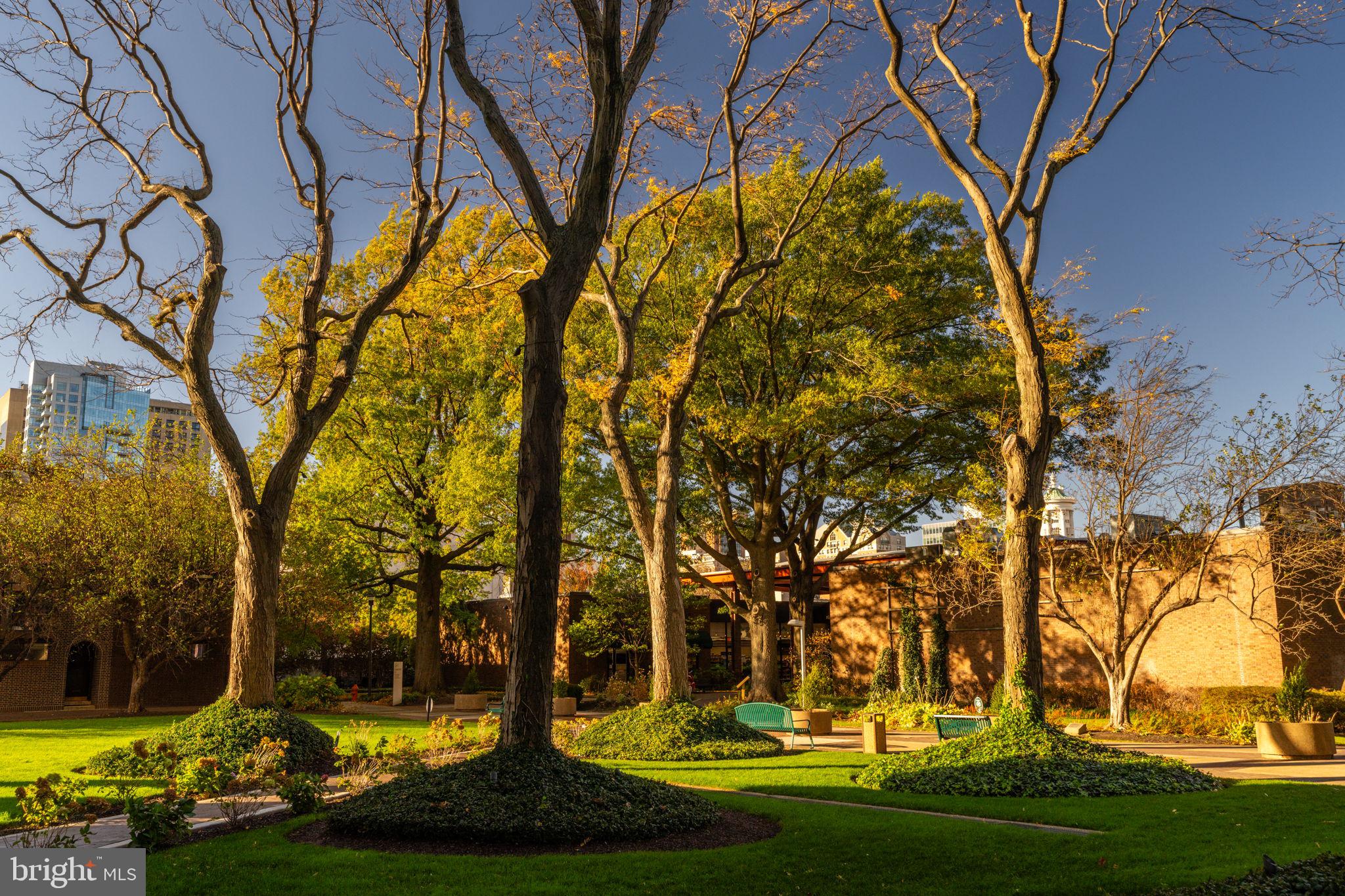 SOCIETY HILL - Residential