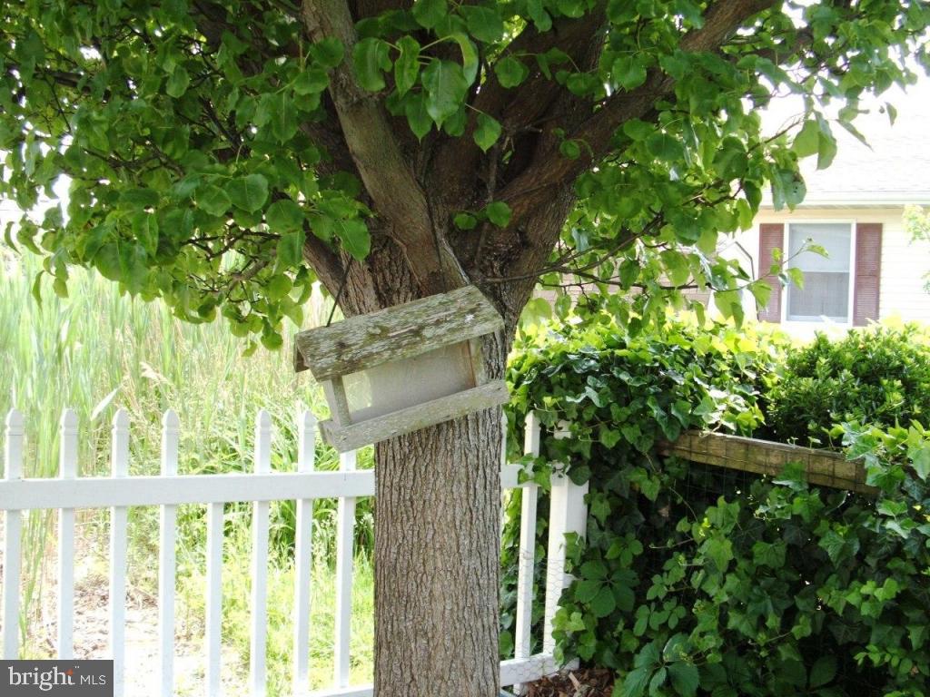 LITTLE SALISBURY - Residential