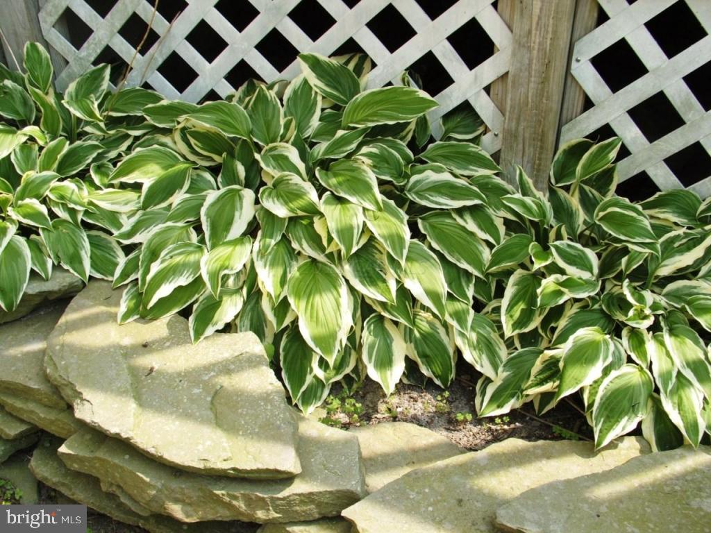 LITTLE SALISBURY - Residential