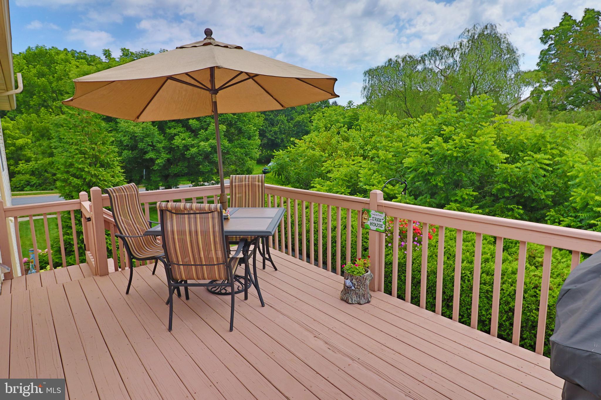 523 MEADOWLARK LANE