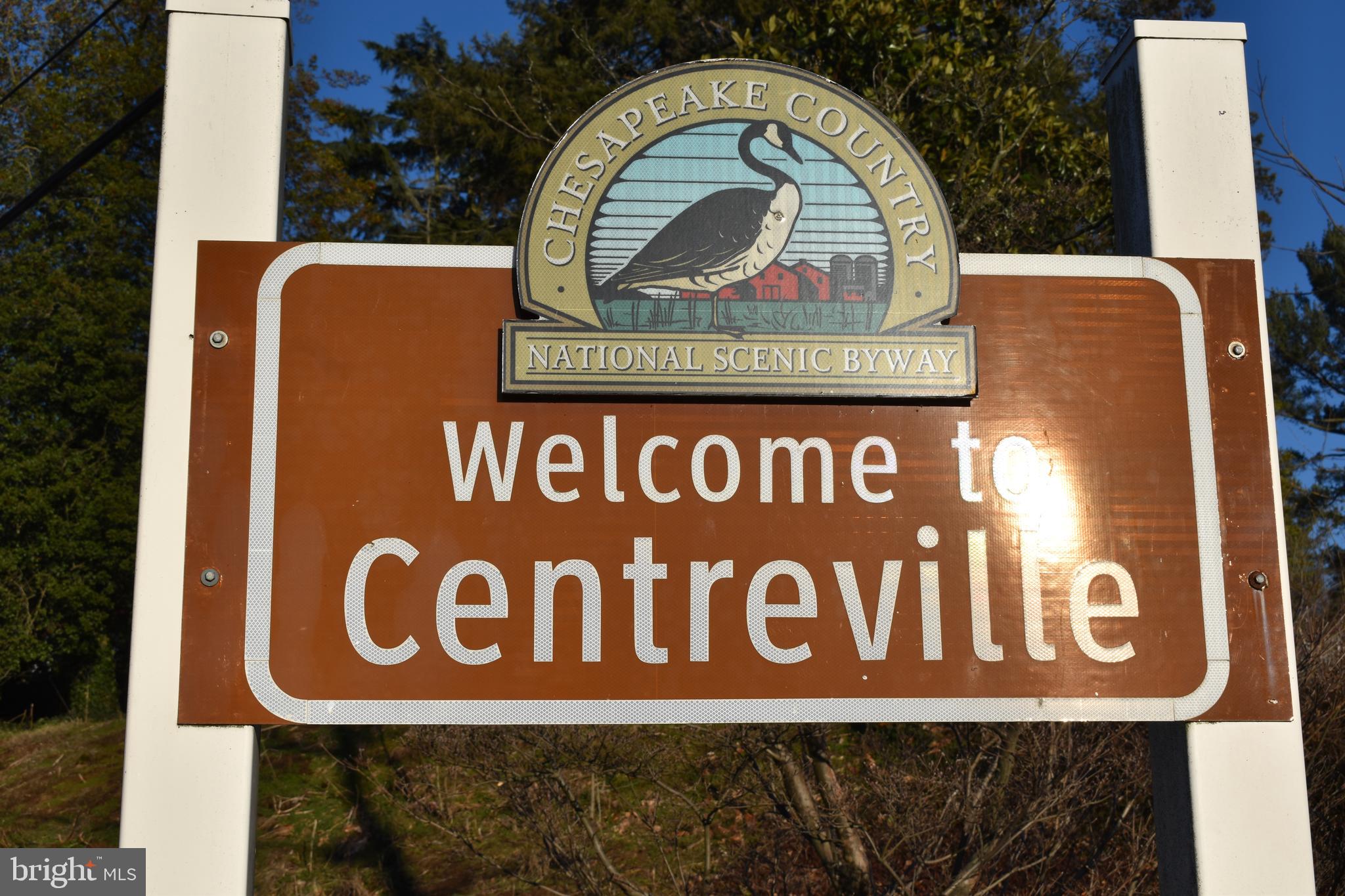 HISTORIC CENTREVILLE - Commercial Sale