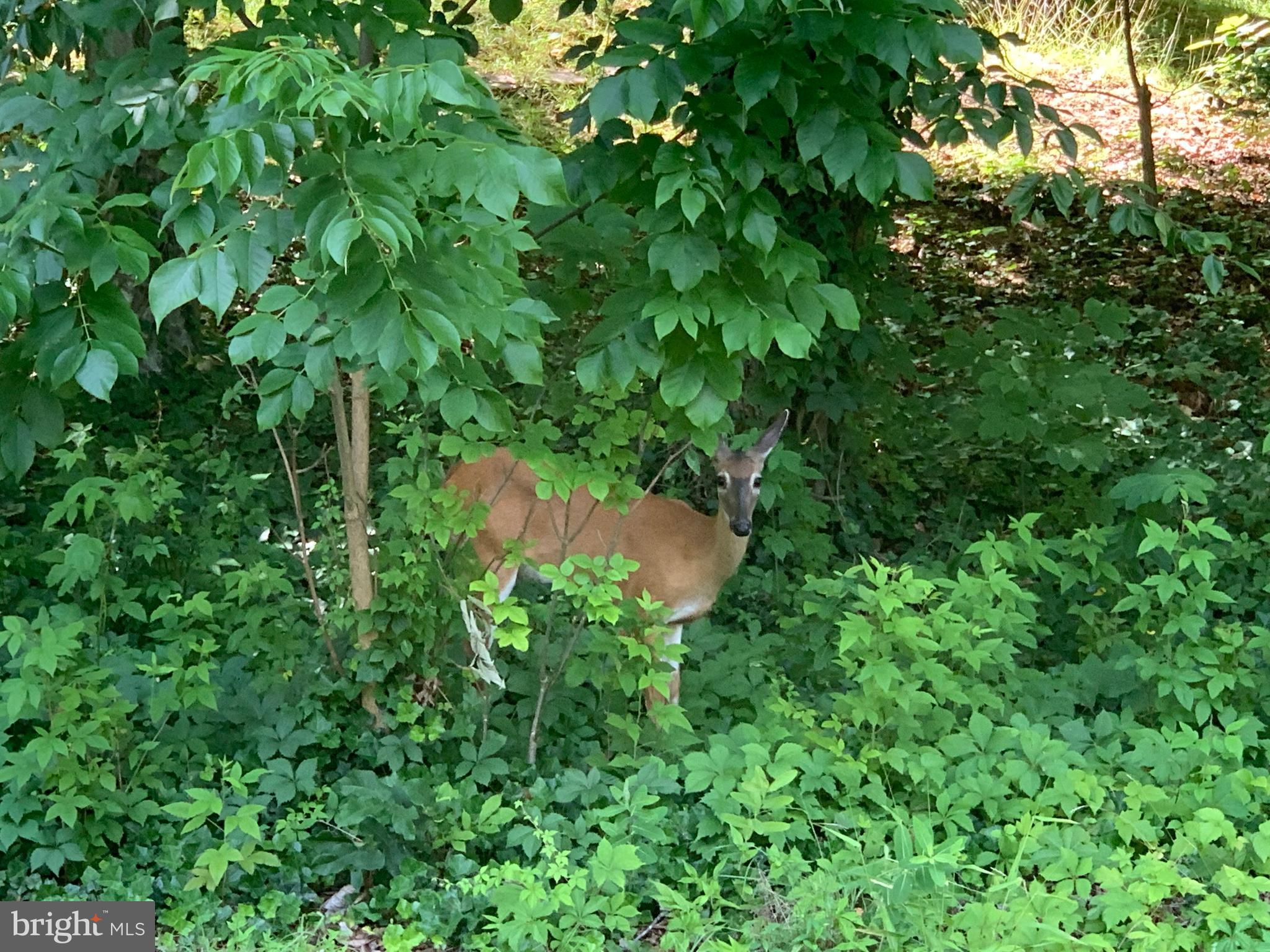 AQUIA HARBOUR - Residential Lease