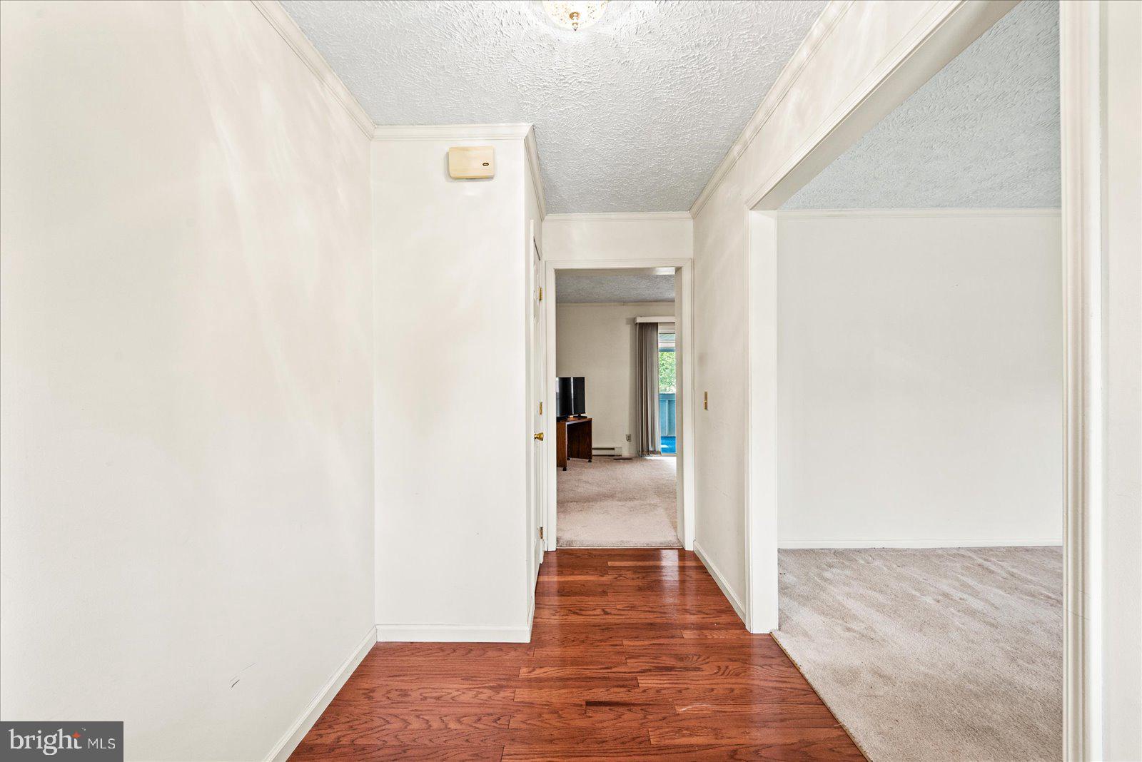 107 BONNIE DEL DRIVE