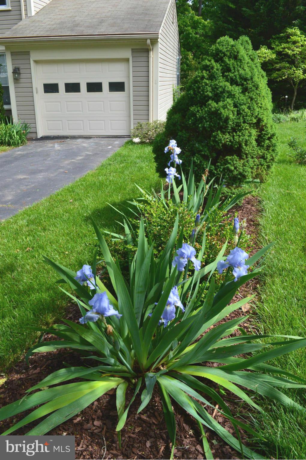 LAKE RIDGE - Residential Lease