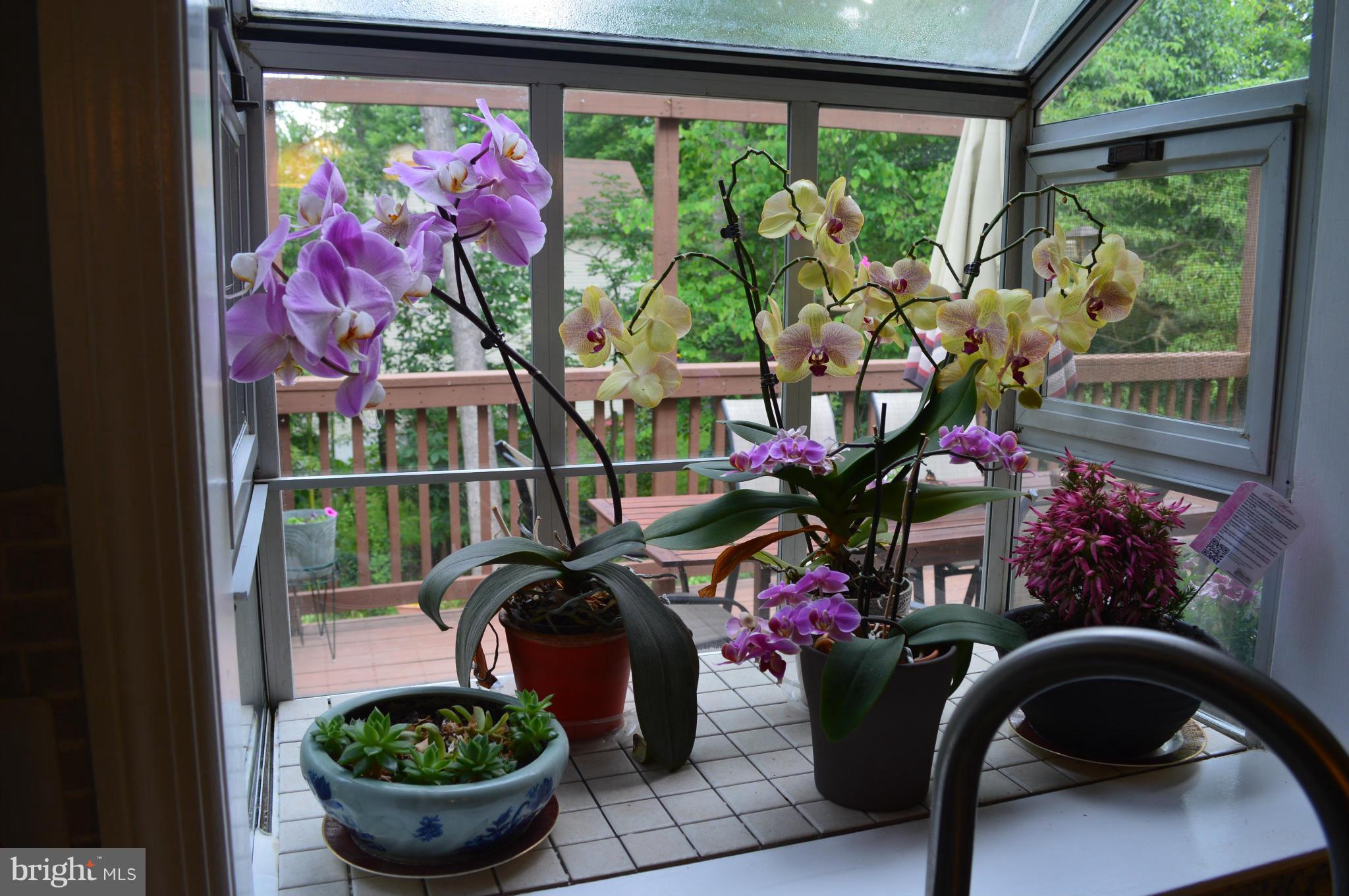 LAKE RIDGE - Residential Lease