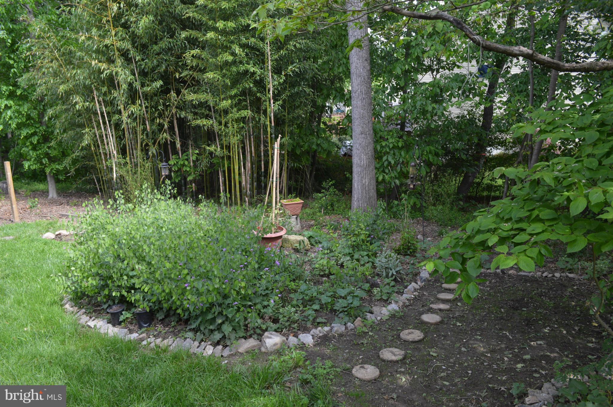 LAKE RIDGE - Residential Lease