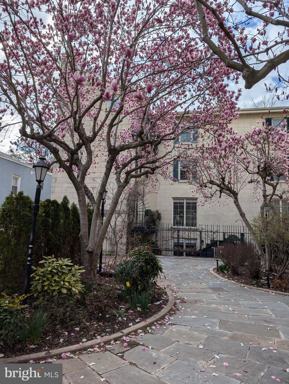 WASHINGTON SQ WEST - Residential