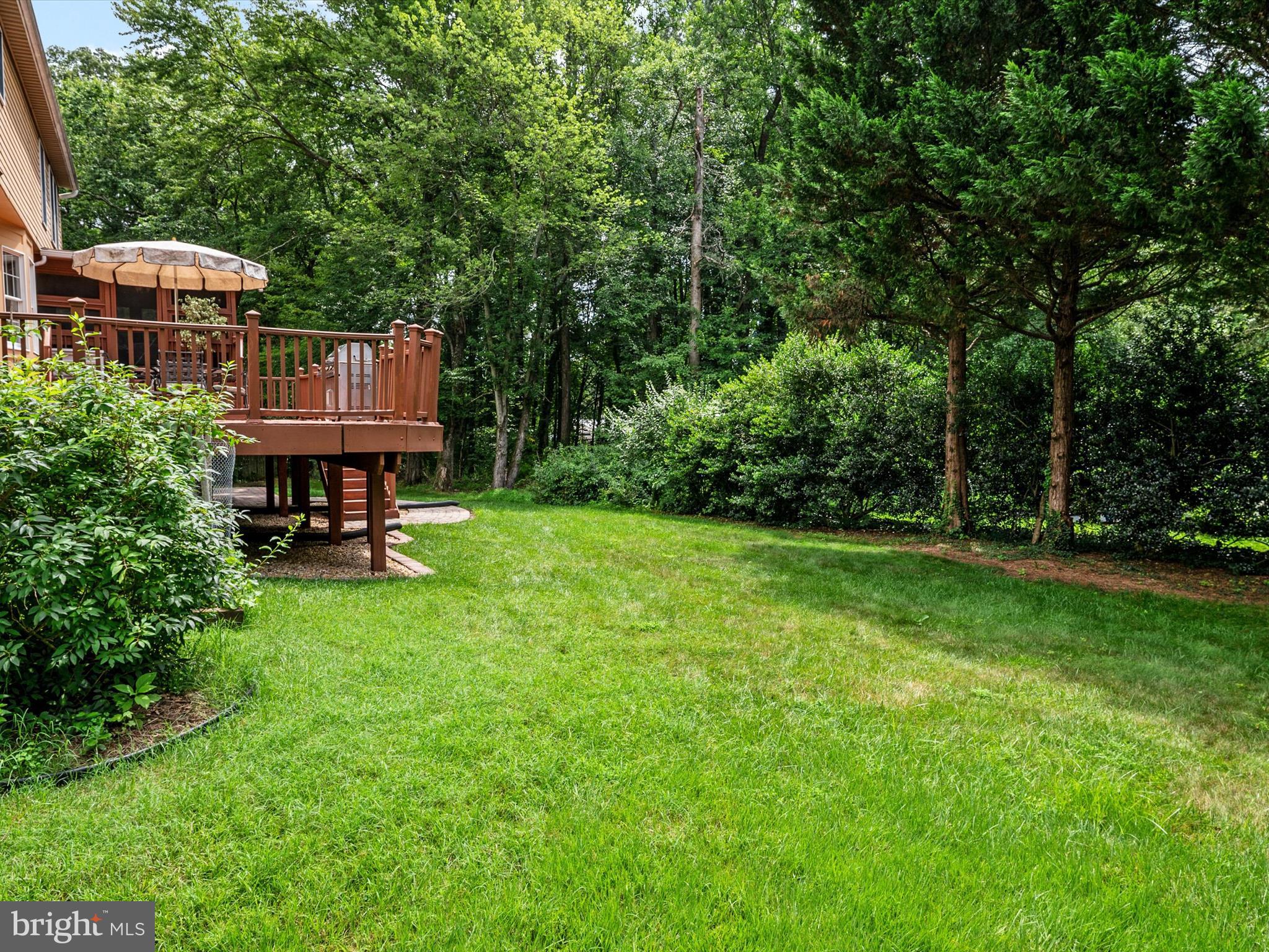 SPRINGFIELD MANOR CLUSTER - Residential