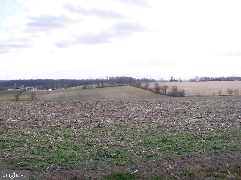 CHESTNUT LEVEL - Land