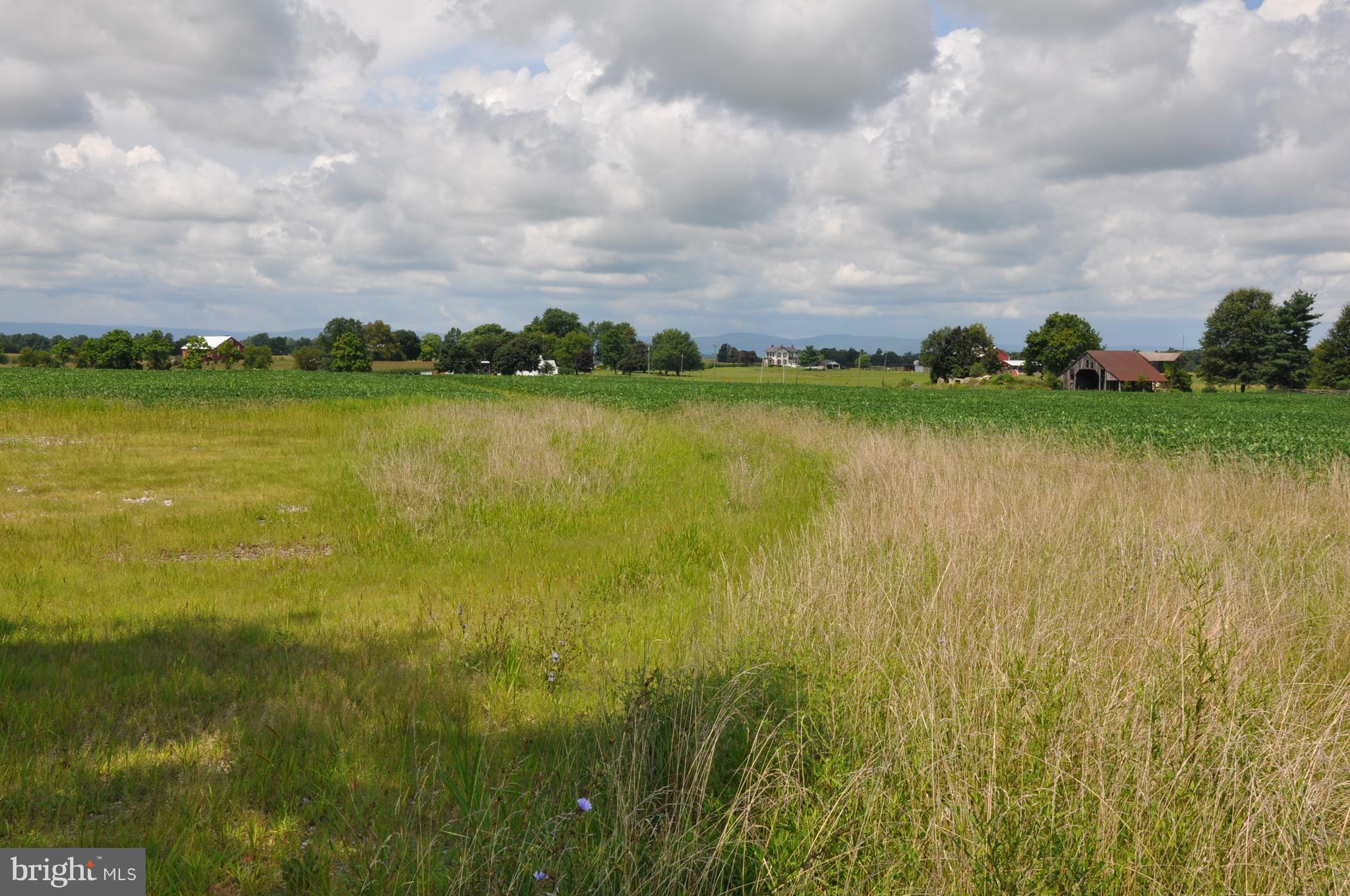 NONE AVAILABLE - Commercial Sale