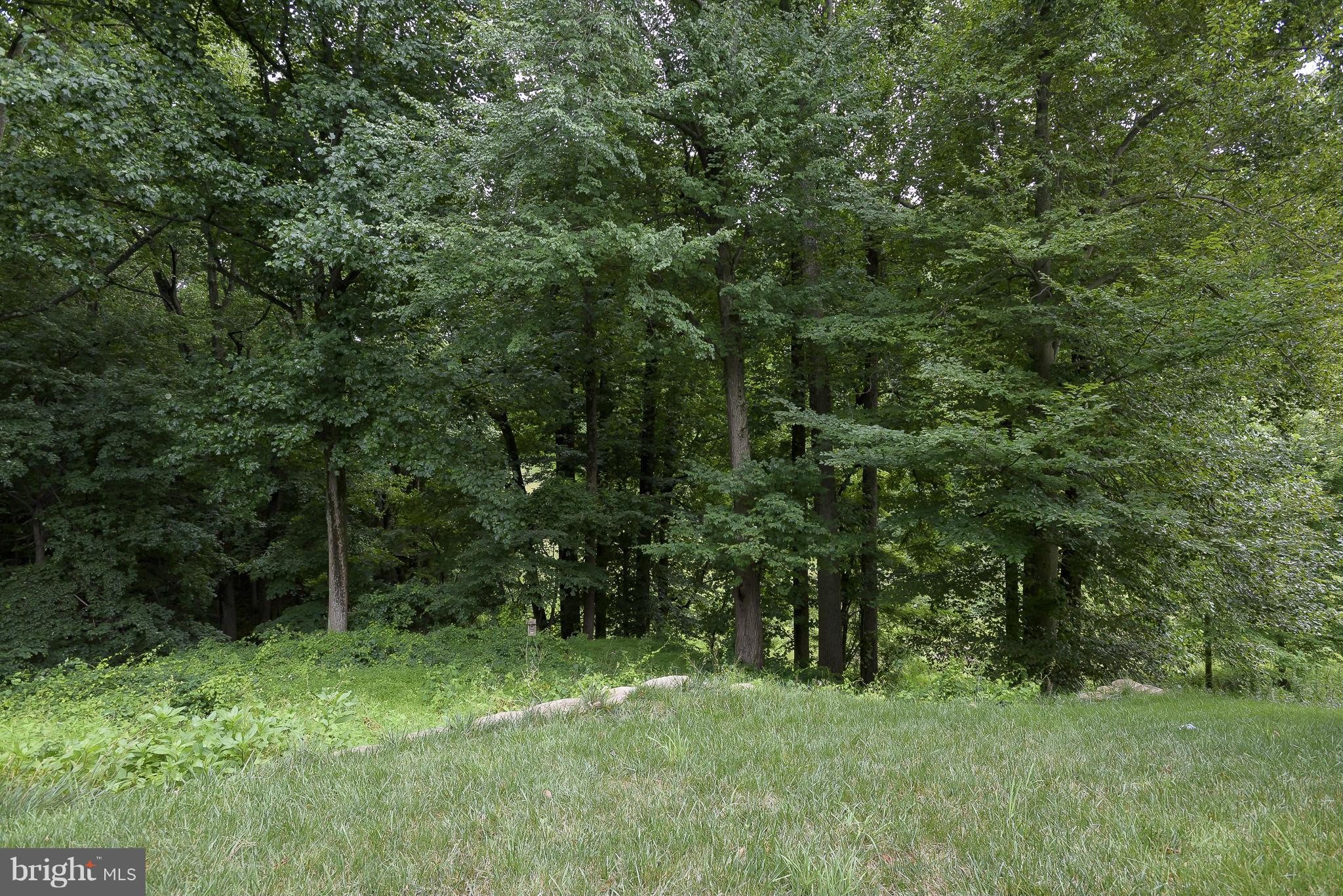 PALMER RIDGE - Residential