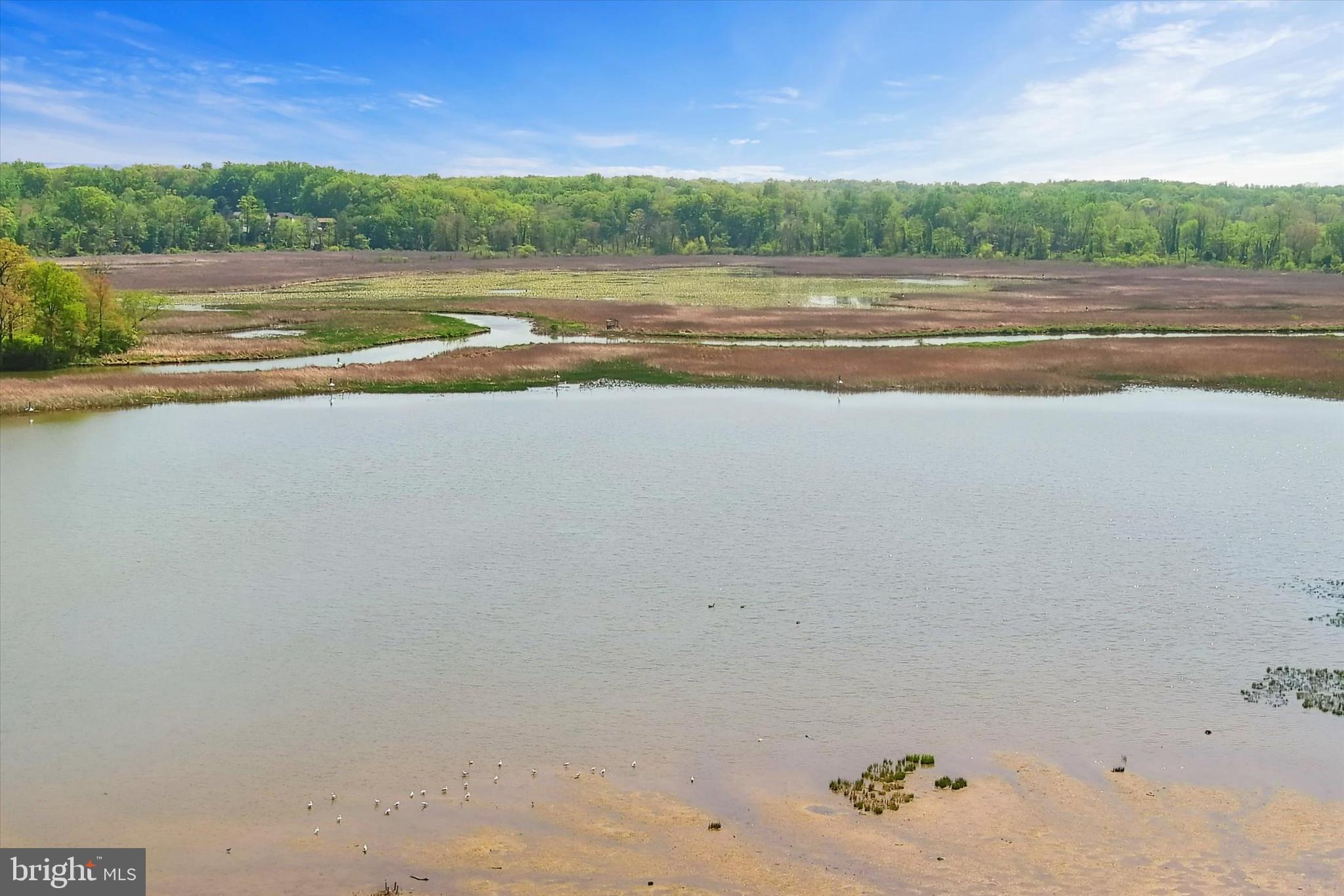 REEDS AT BAYVIEW - Residential