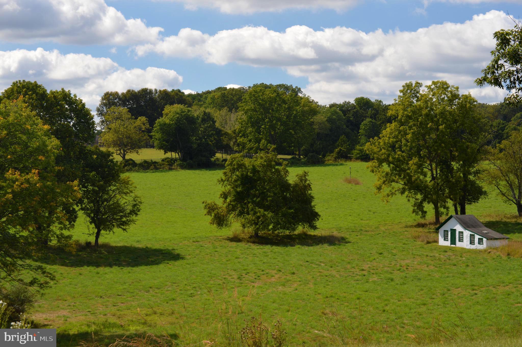 RADNOR HUNT - Residential