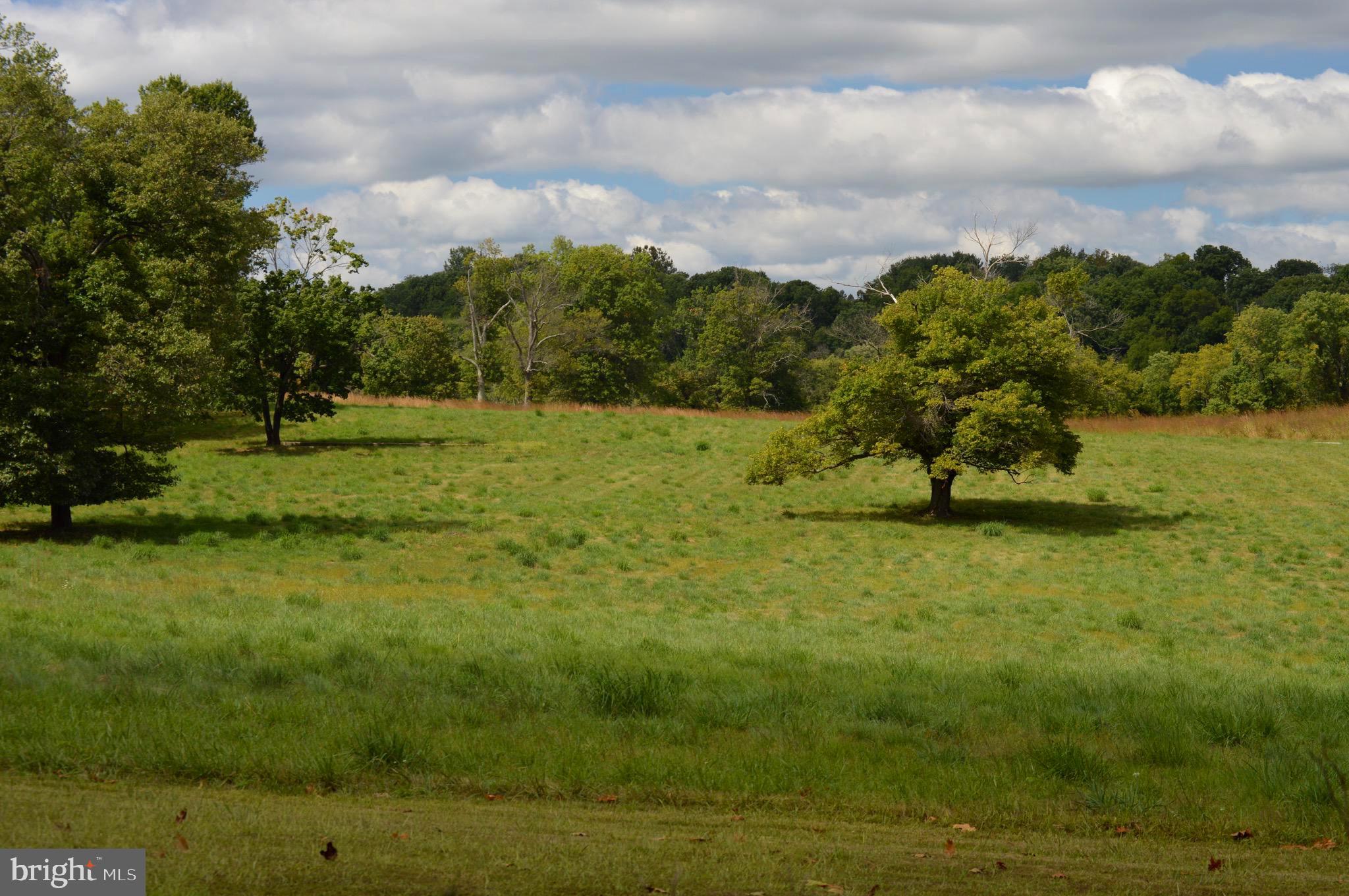 RADNOR HUNT - Residential