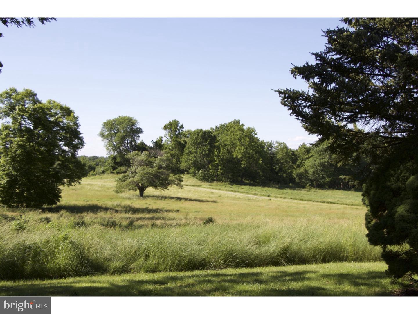 RADNOR HUNT - Residential