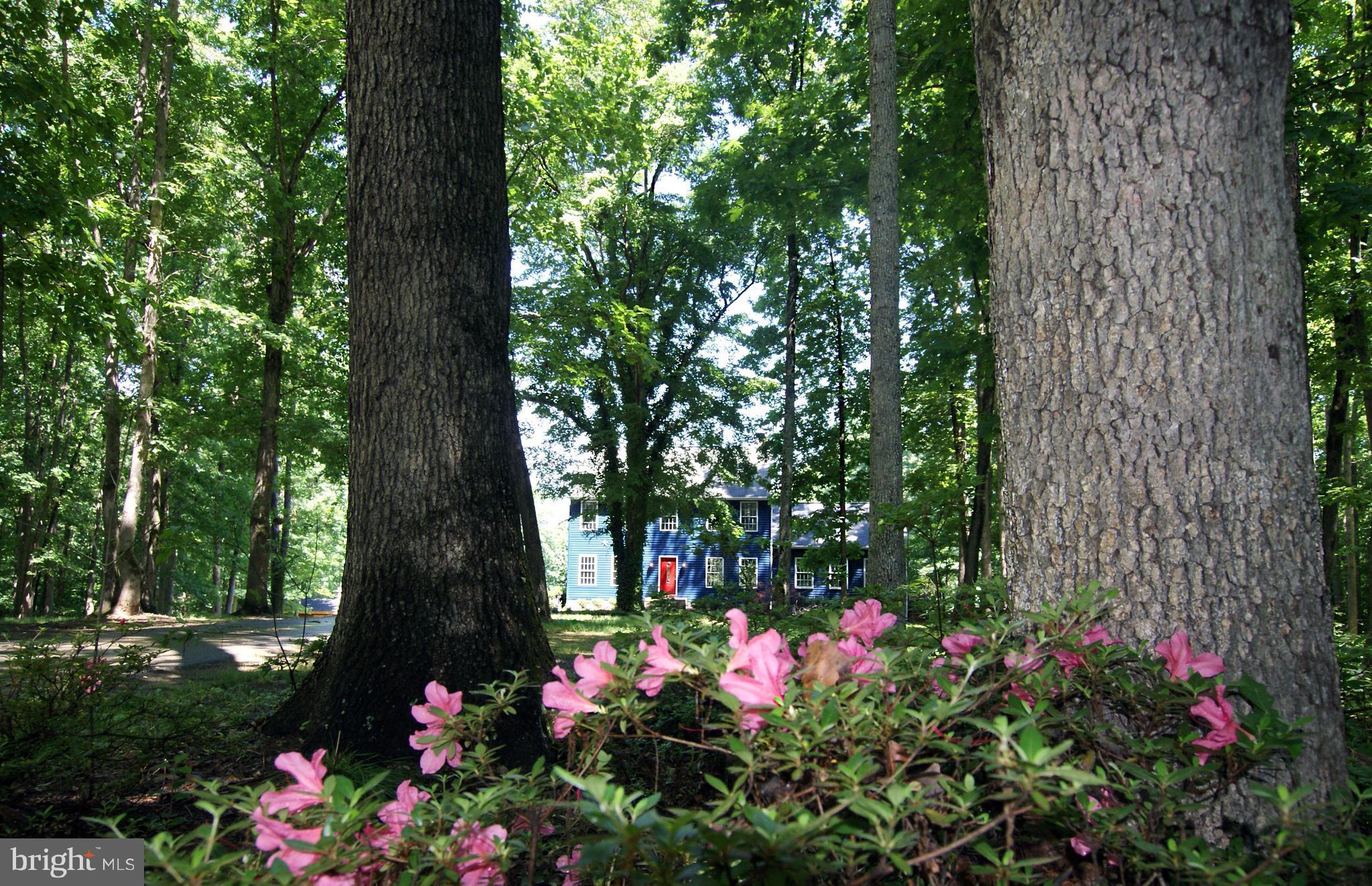 RAPPAHANNOCK RIDGE ESTATES - Residential