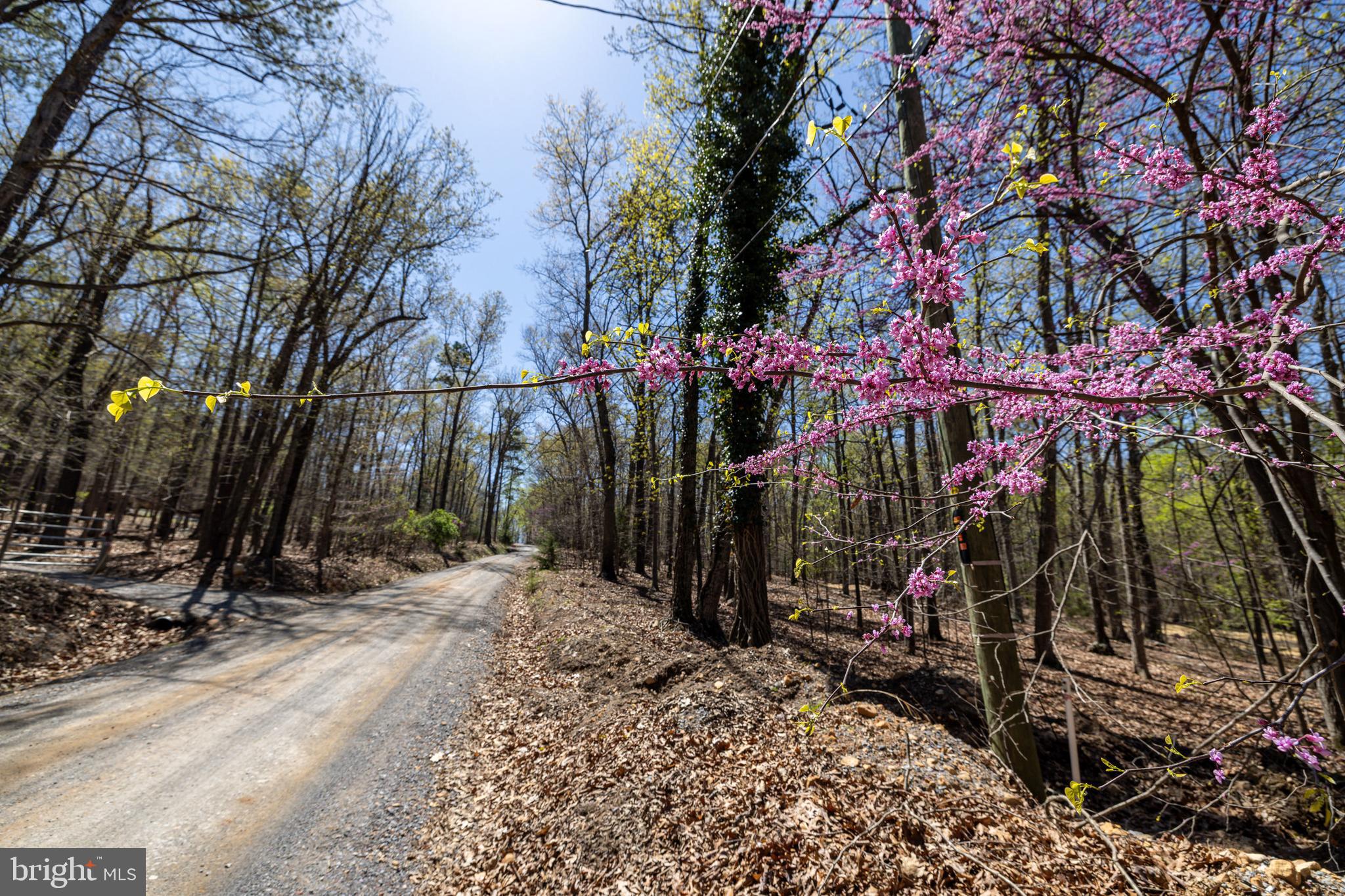 SHENANDOAH GAP - Land