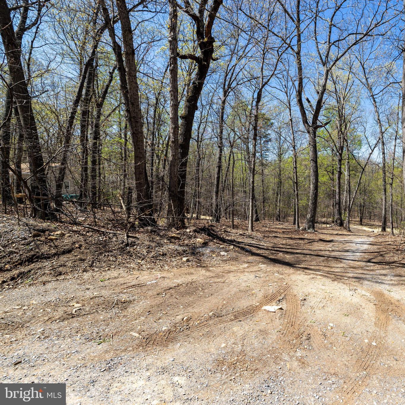 SHENANDOAH GAP - Land