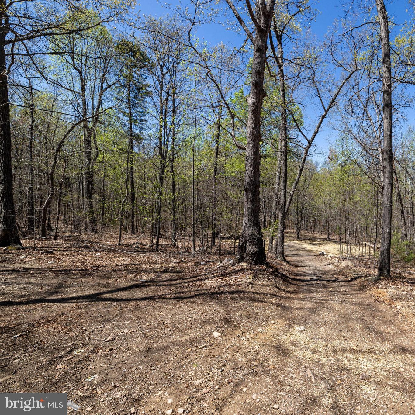 SHENANDOAH GAP - Land