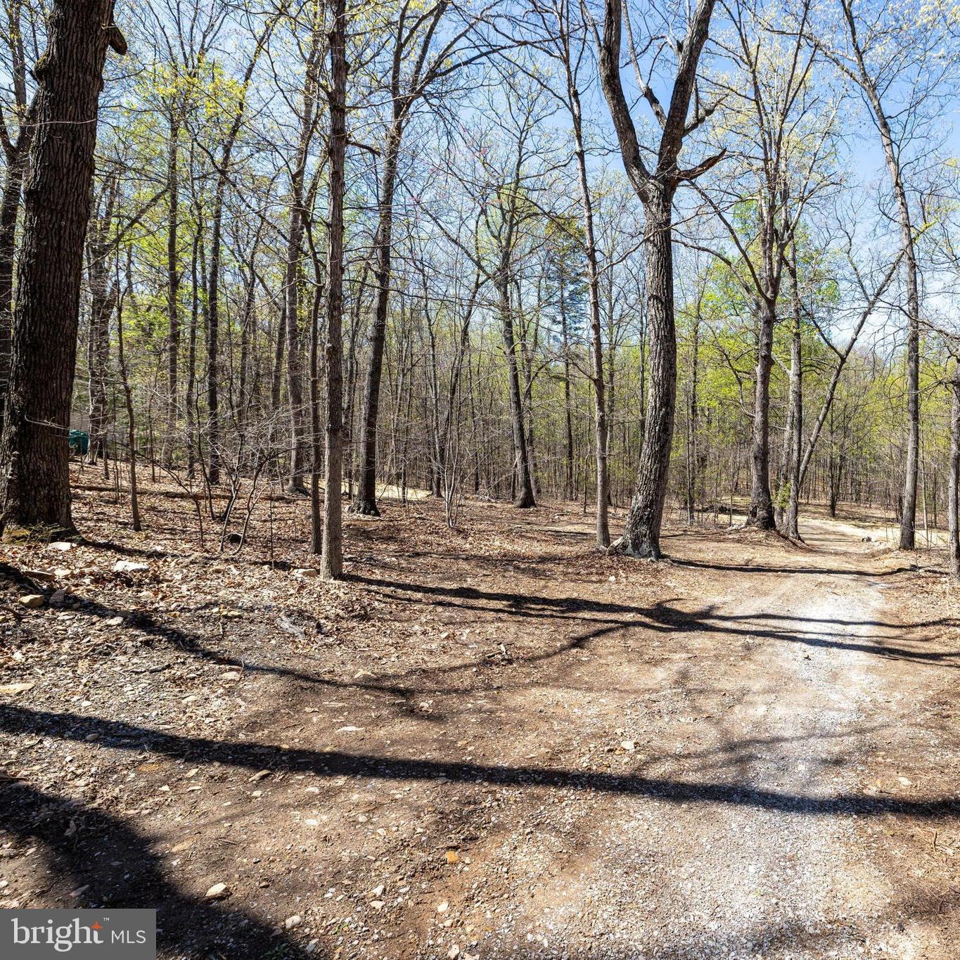 SHENANDOAH GAP - Land