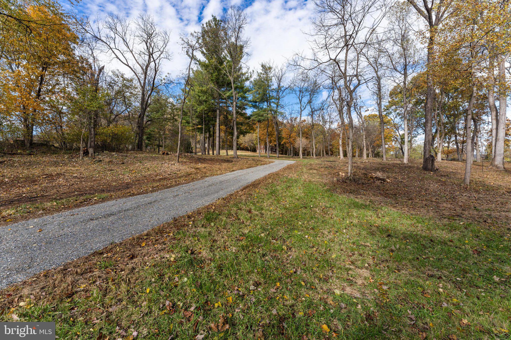 BLUE RIDGE CHASE - Residential