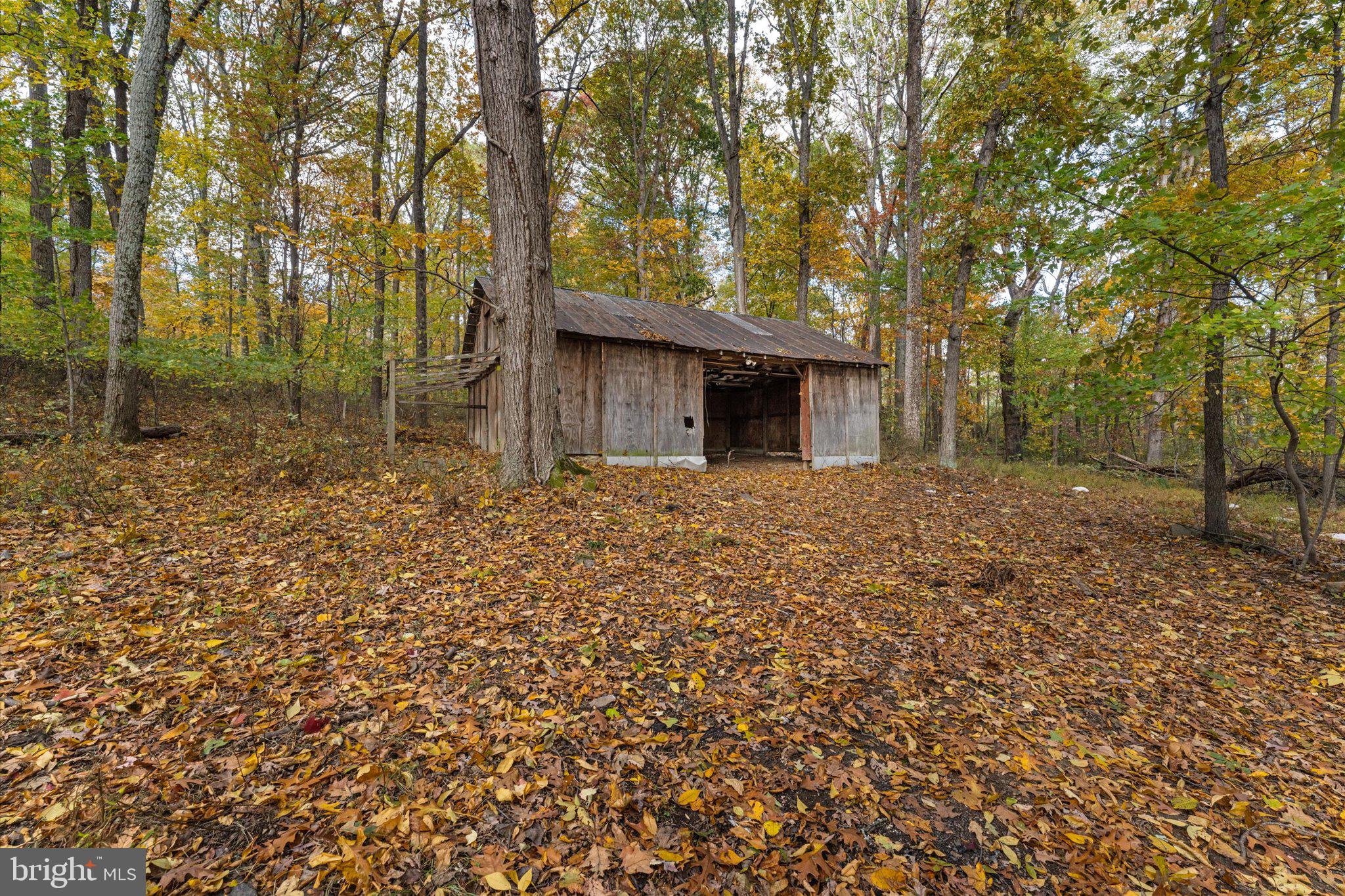 BLUE RIDGE CHASE - Residential