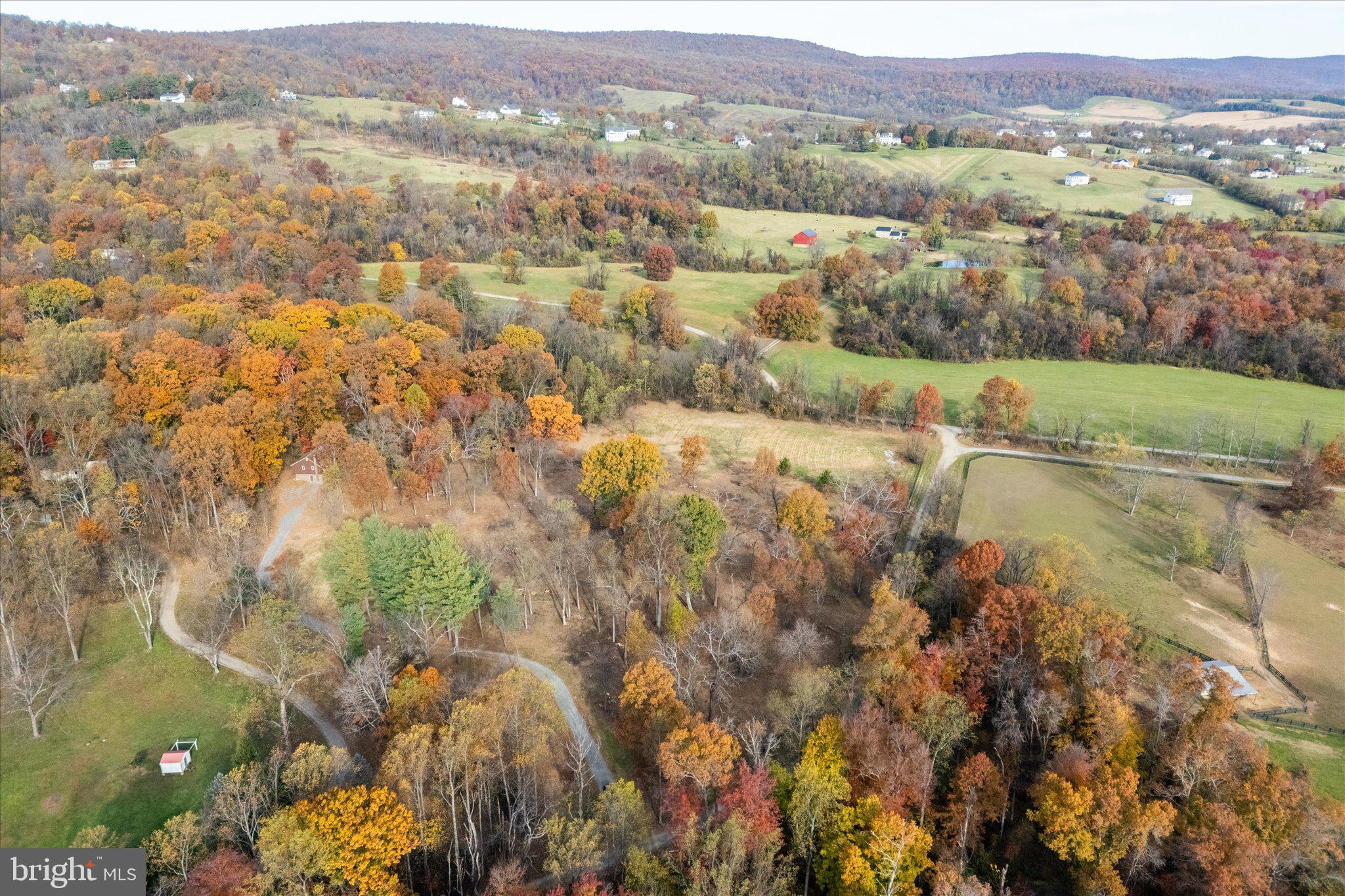 BLUE RIDGE CHASE - Residential