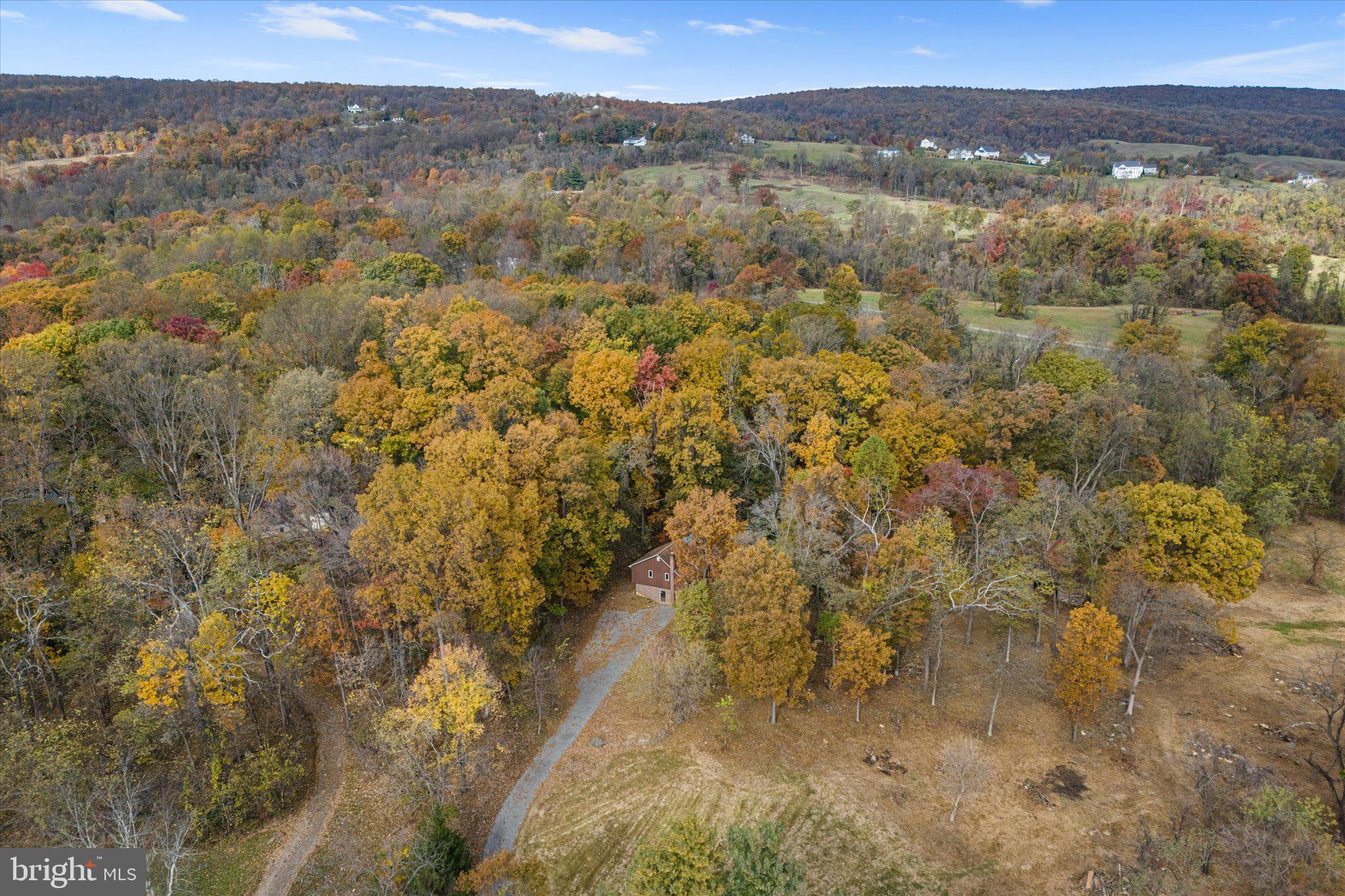 BLUE RIDGE CHASE - Residential