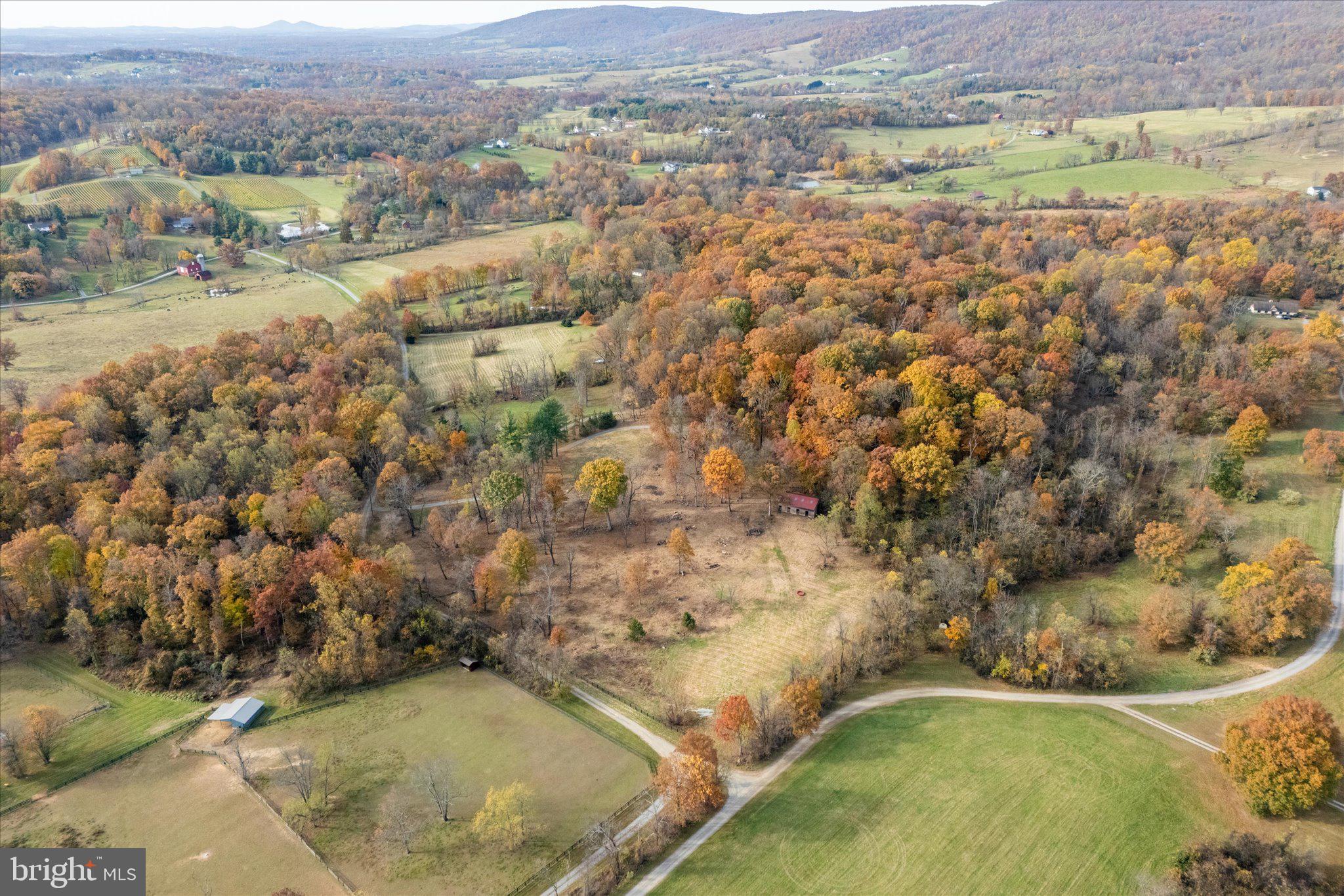 BLUE RIDGE CHASE - Residential