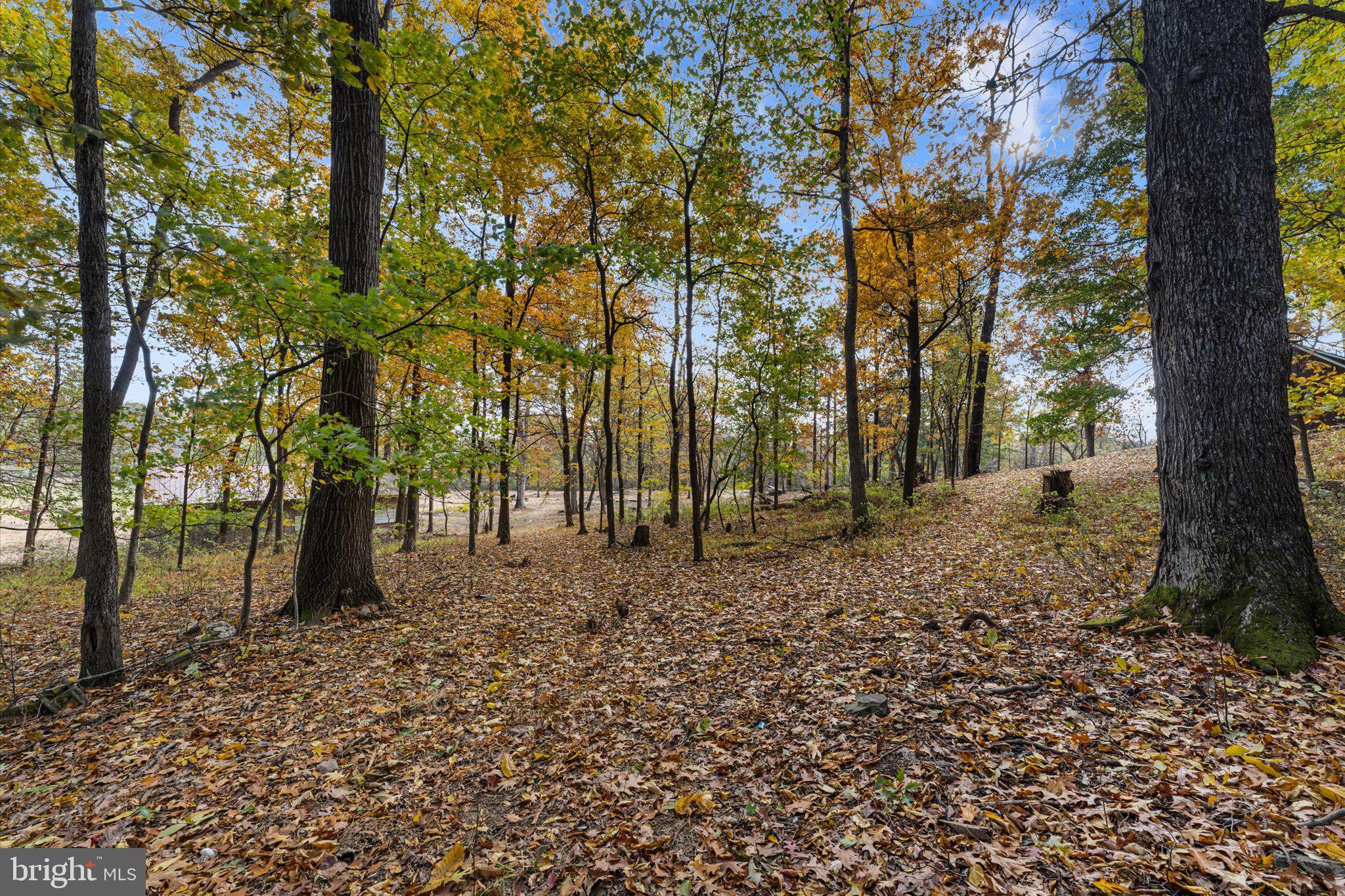 BLUE RIDGE CHASE - Residential