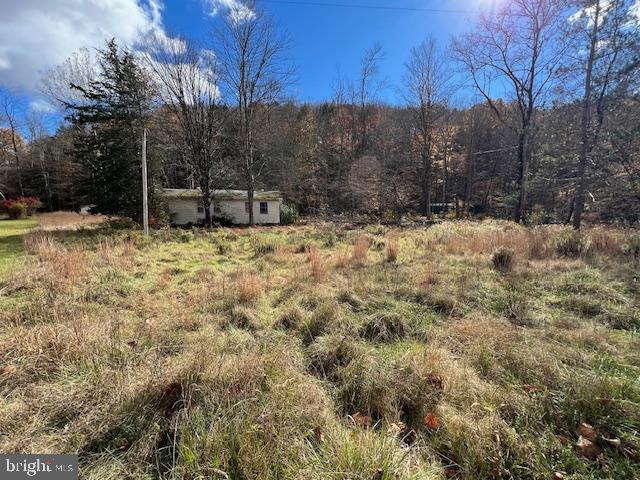 145 MUNCY CREEK ROAD