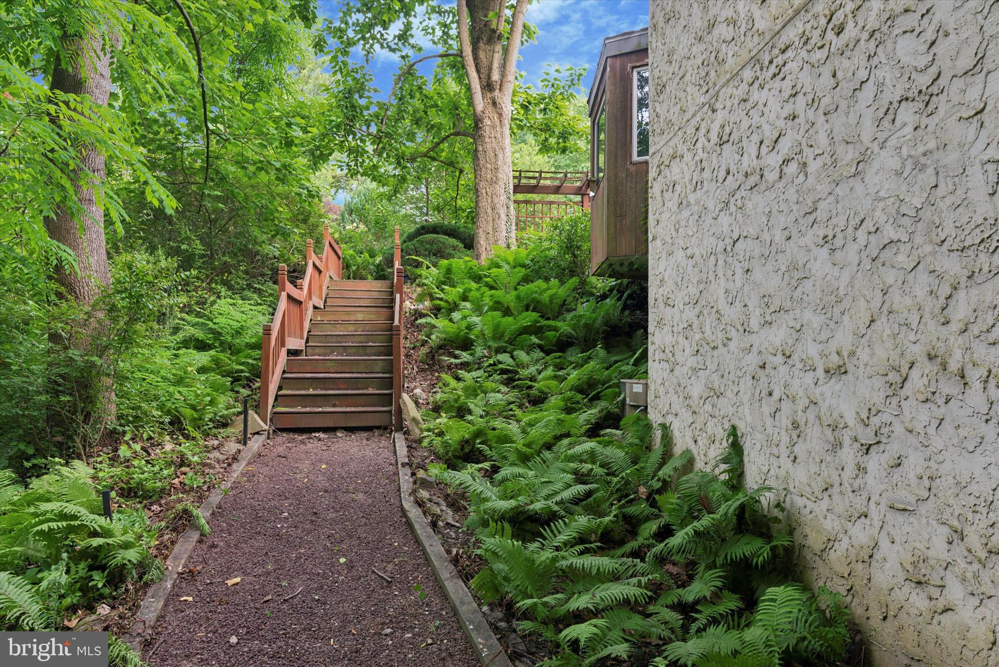 CHESTNUT HILL - Residential