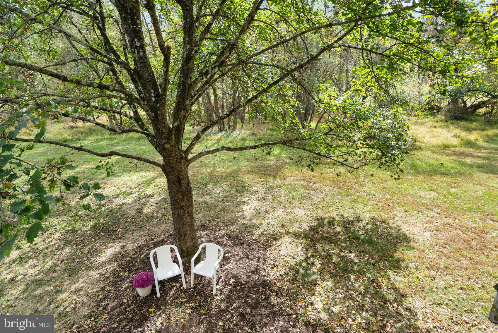 DORSEY HALL - Residential